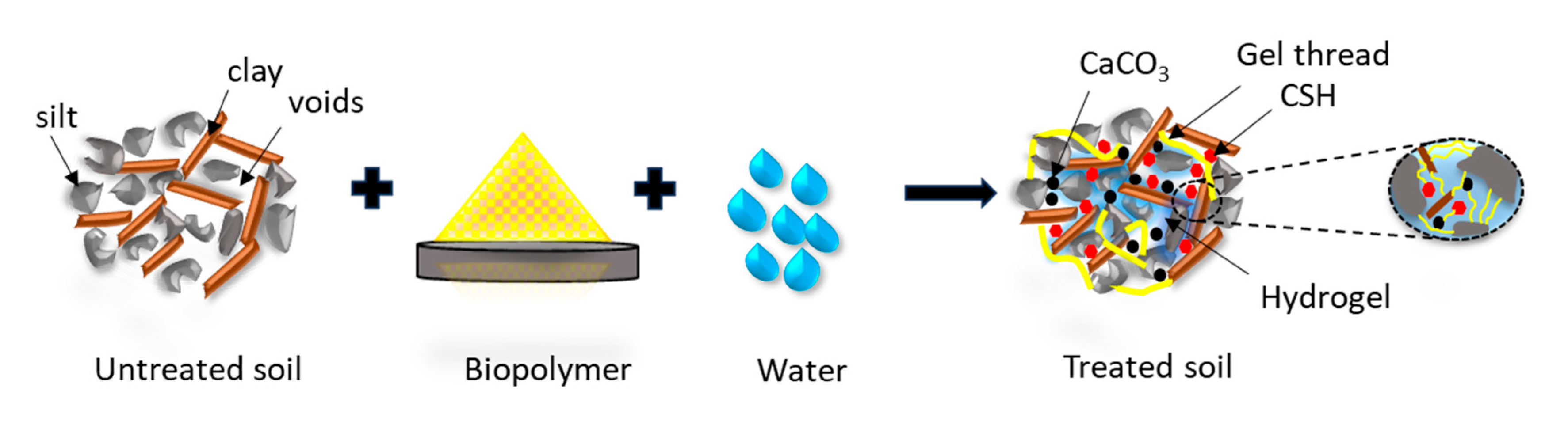 Polymers 17 01954 g011