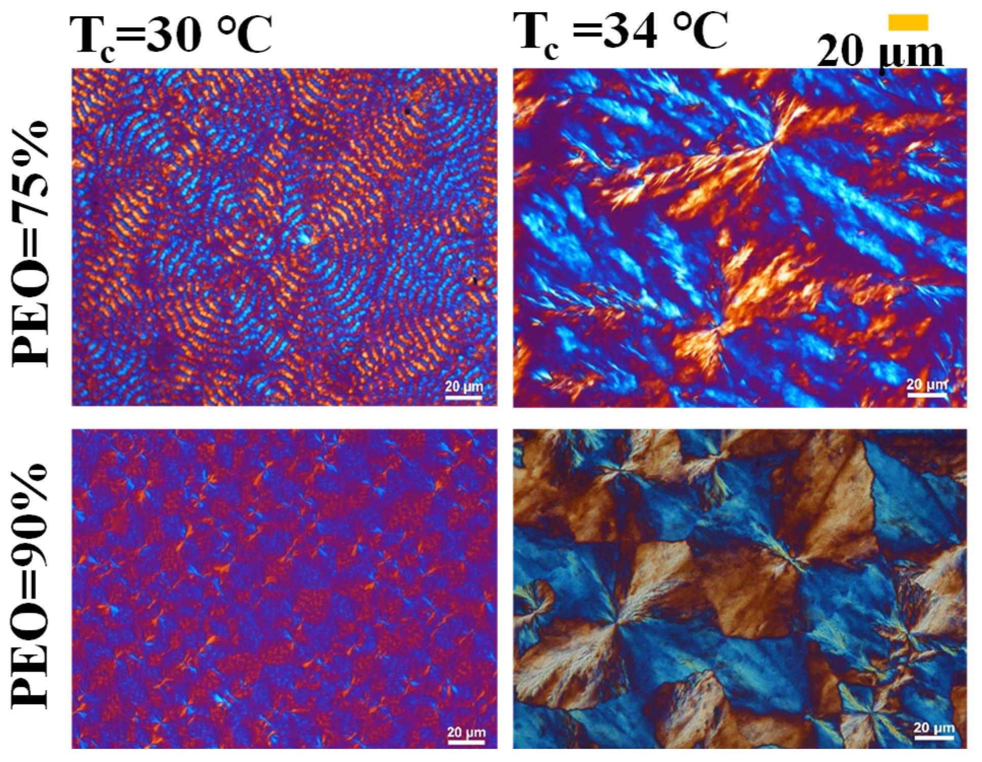 Polymers 17 02040 g001