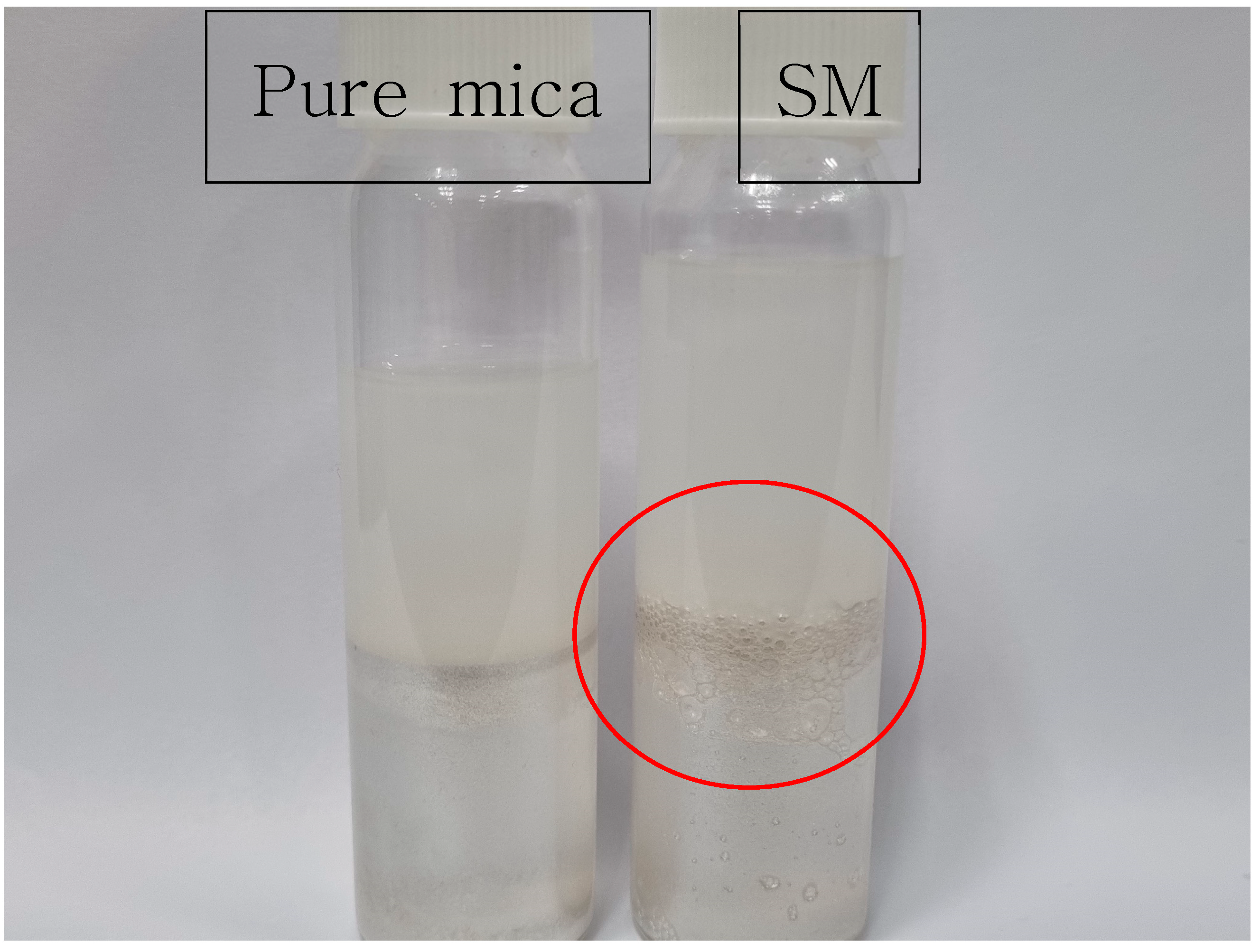 Polymers 17 02250 g001 Polymers 17 02250 g001