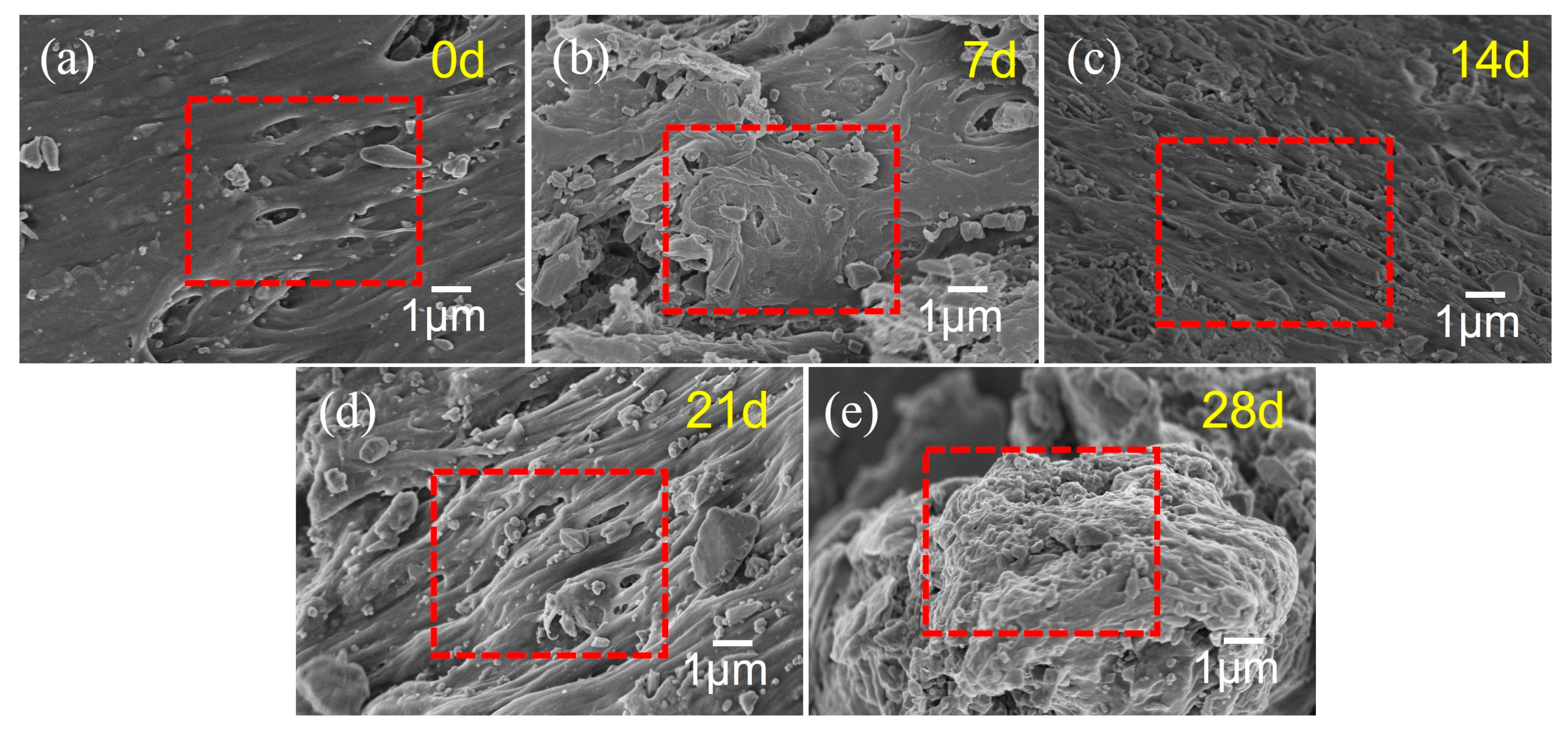 Polymers 17 02320 g012 Polymers 17 02320 g012
