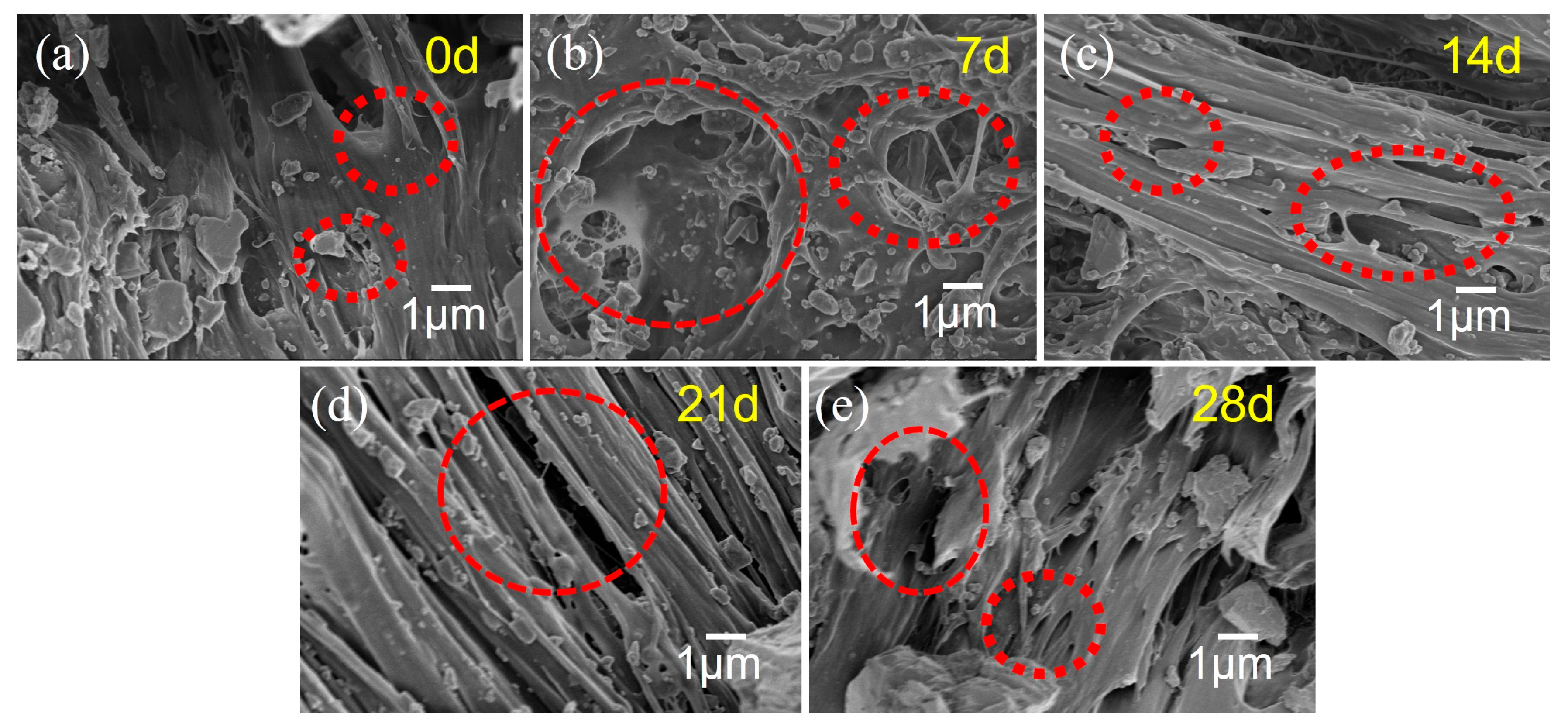 Polymers 17 02320 g013 Polymers 17 02320 g013