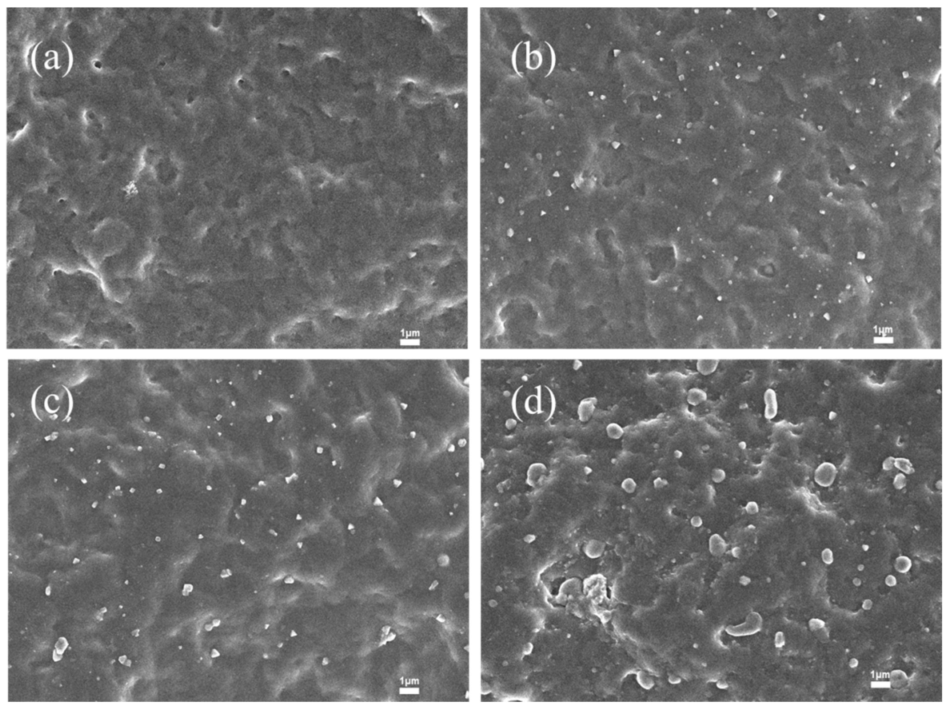Polymers 17 02436 g002 Polymers 17 02436 g002