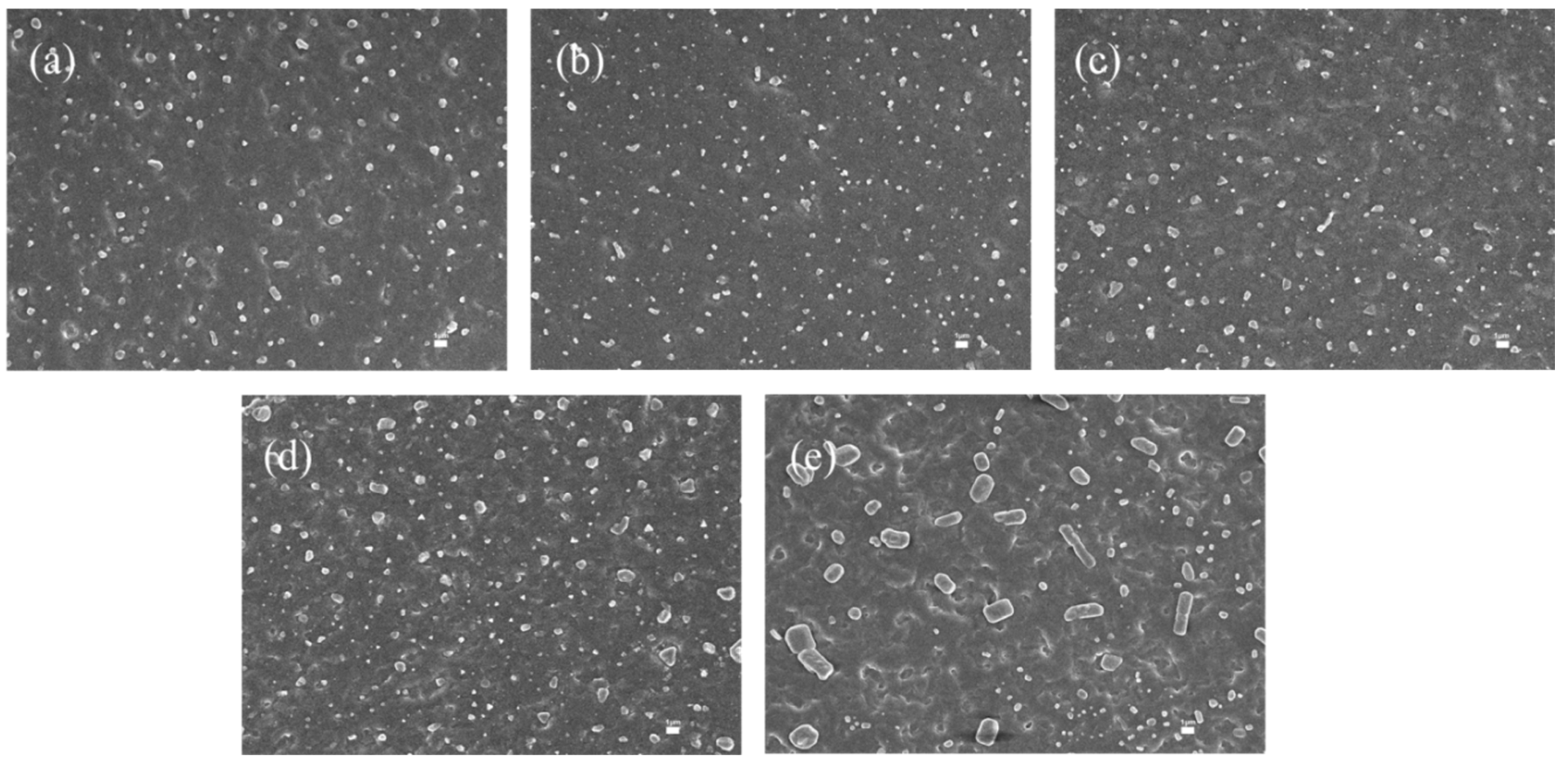 Polymers 17 02436 g006 Polymers 17 02436 g006