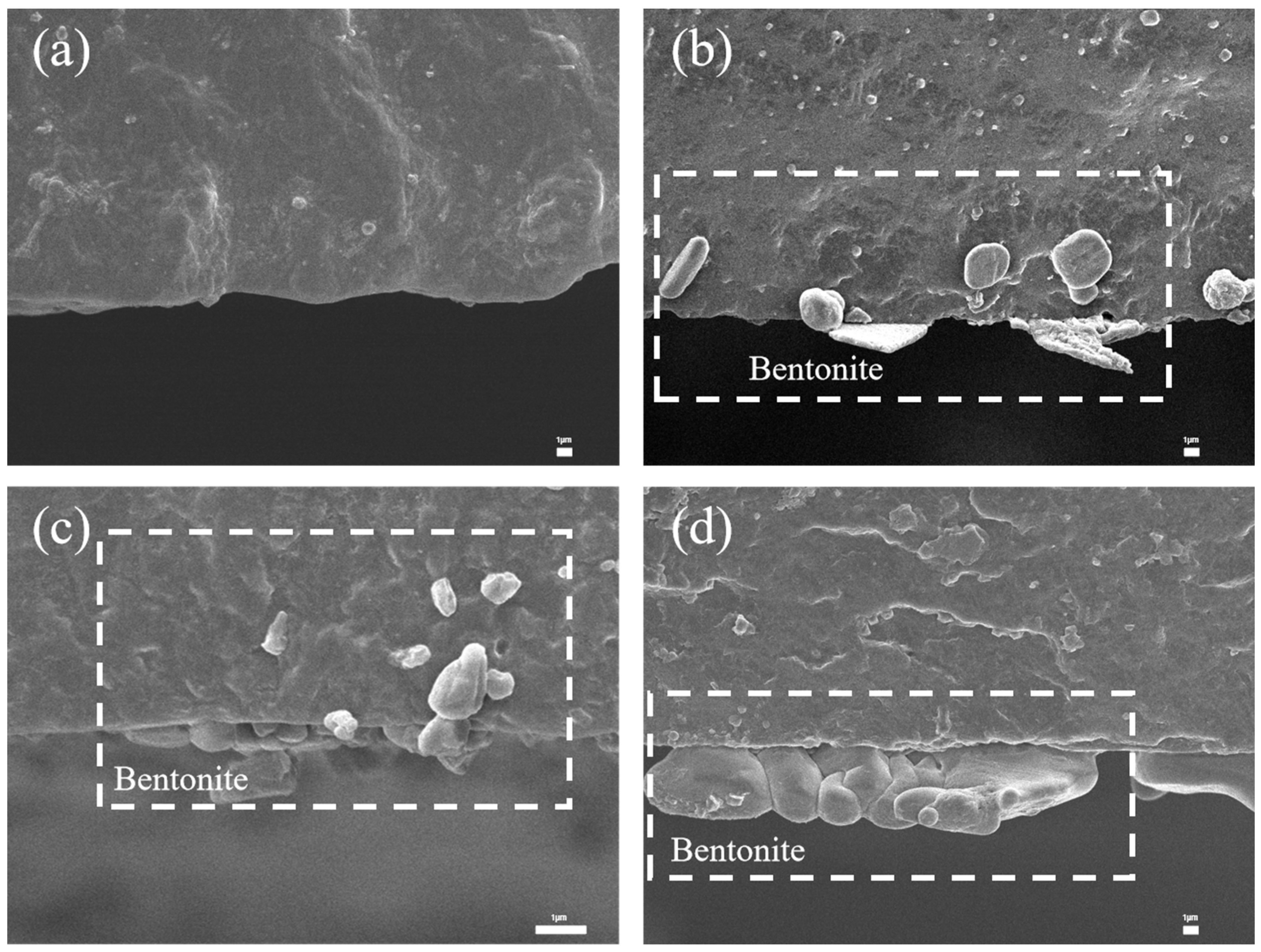 Polymers 17 02436 g014 Polymers 17 02436 g014