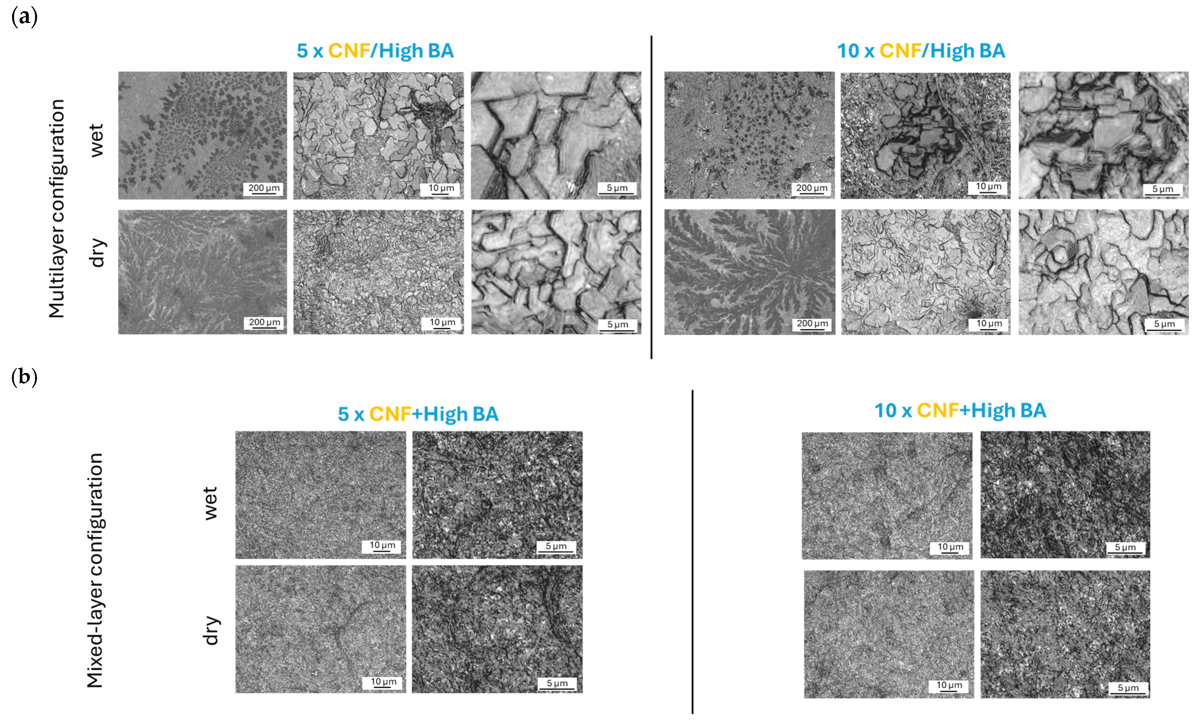 Polymers 17 02451 g006 Polymers 17 02451 g006