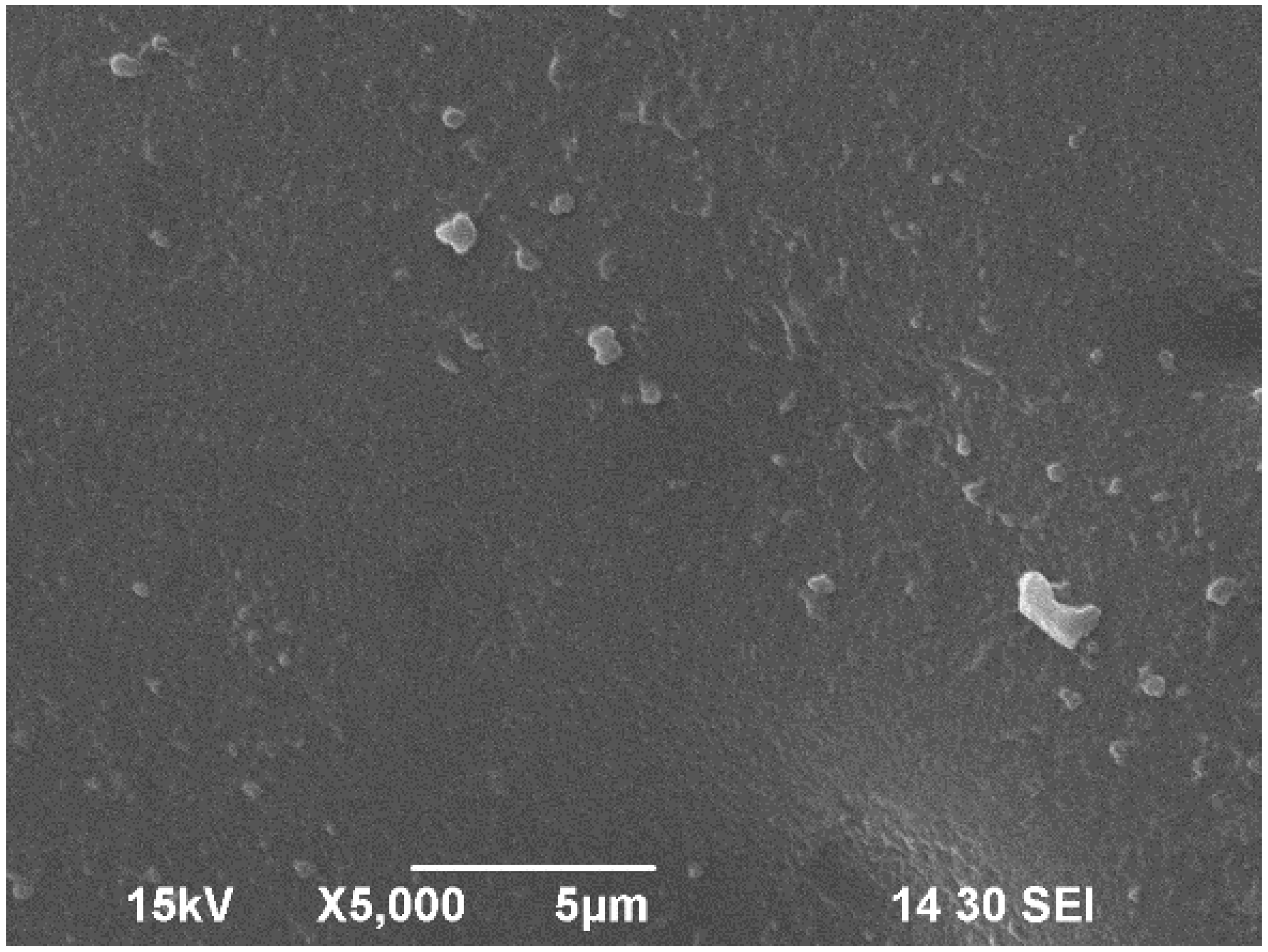 Polymers 17 02488 g006 Polymers 17 02488 g006