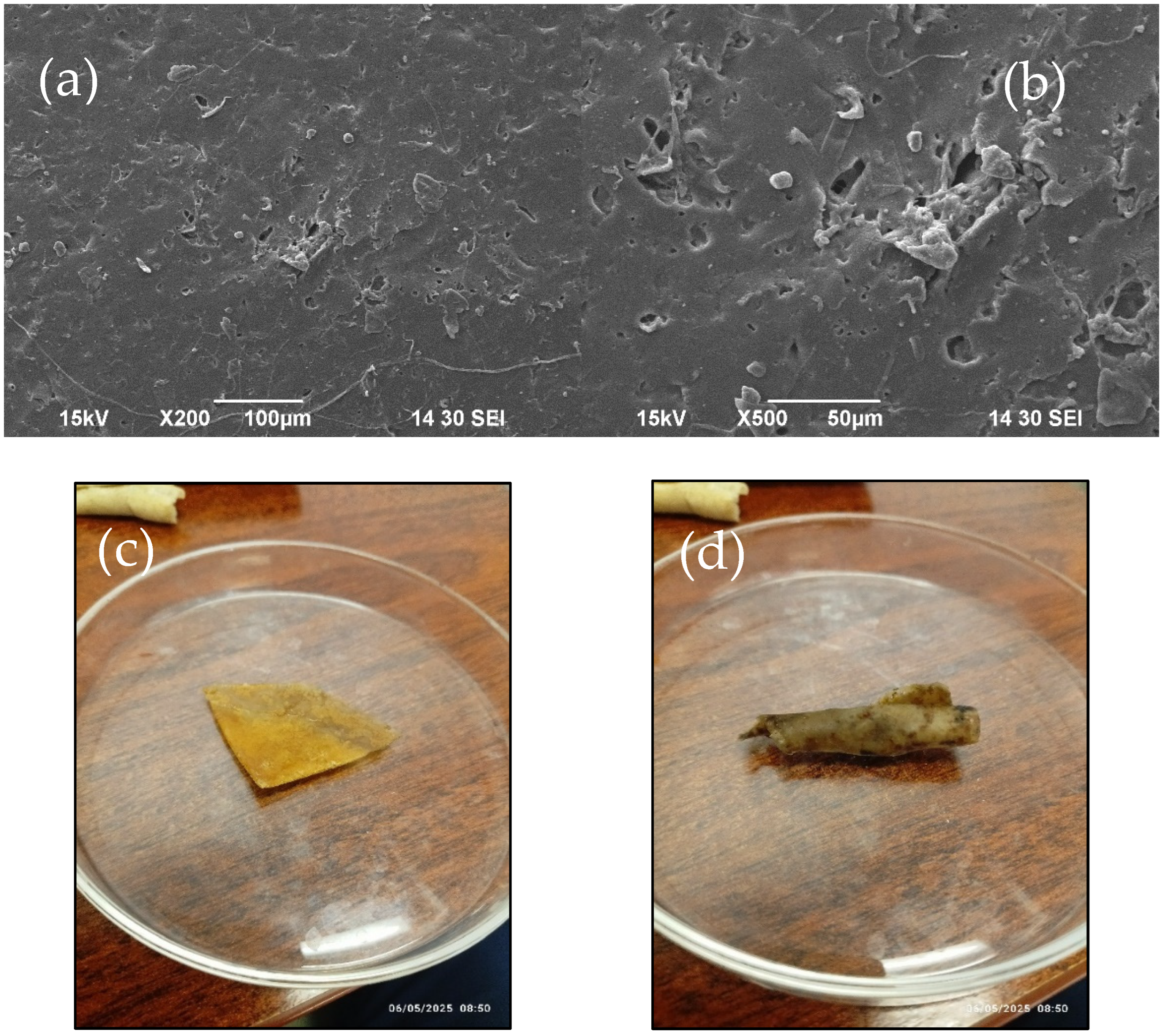 Polymers 17 02488 g011 Polymers 17 02488 g011