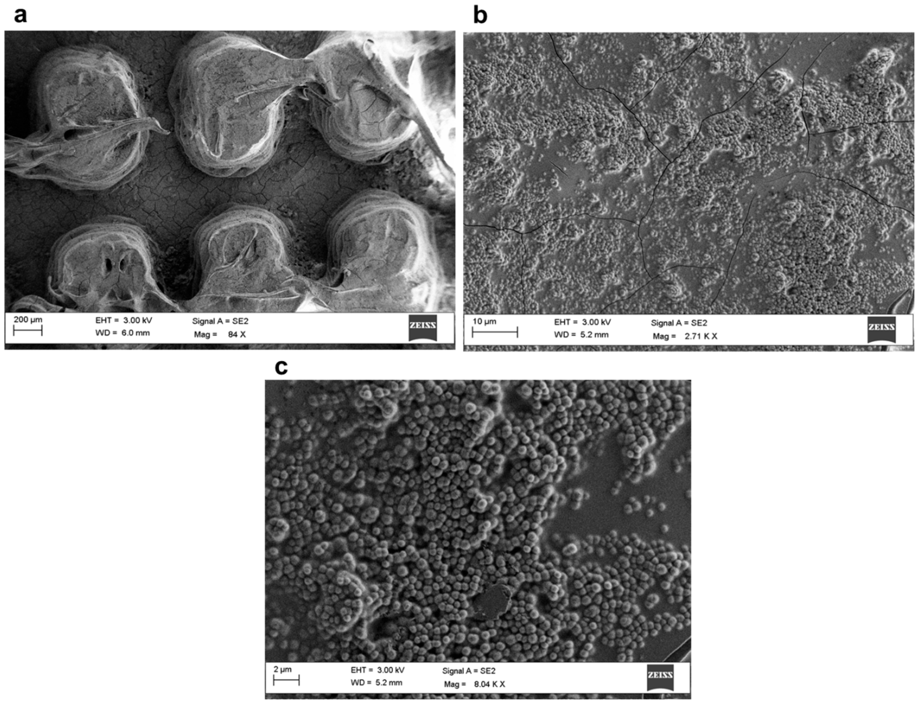 Polymers 17 02570 g015 Polymers 17 02570 g015