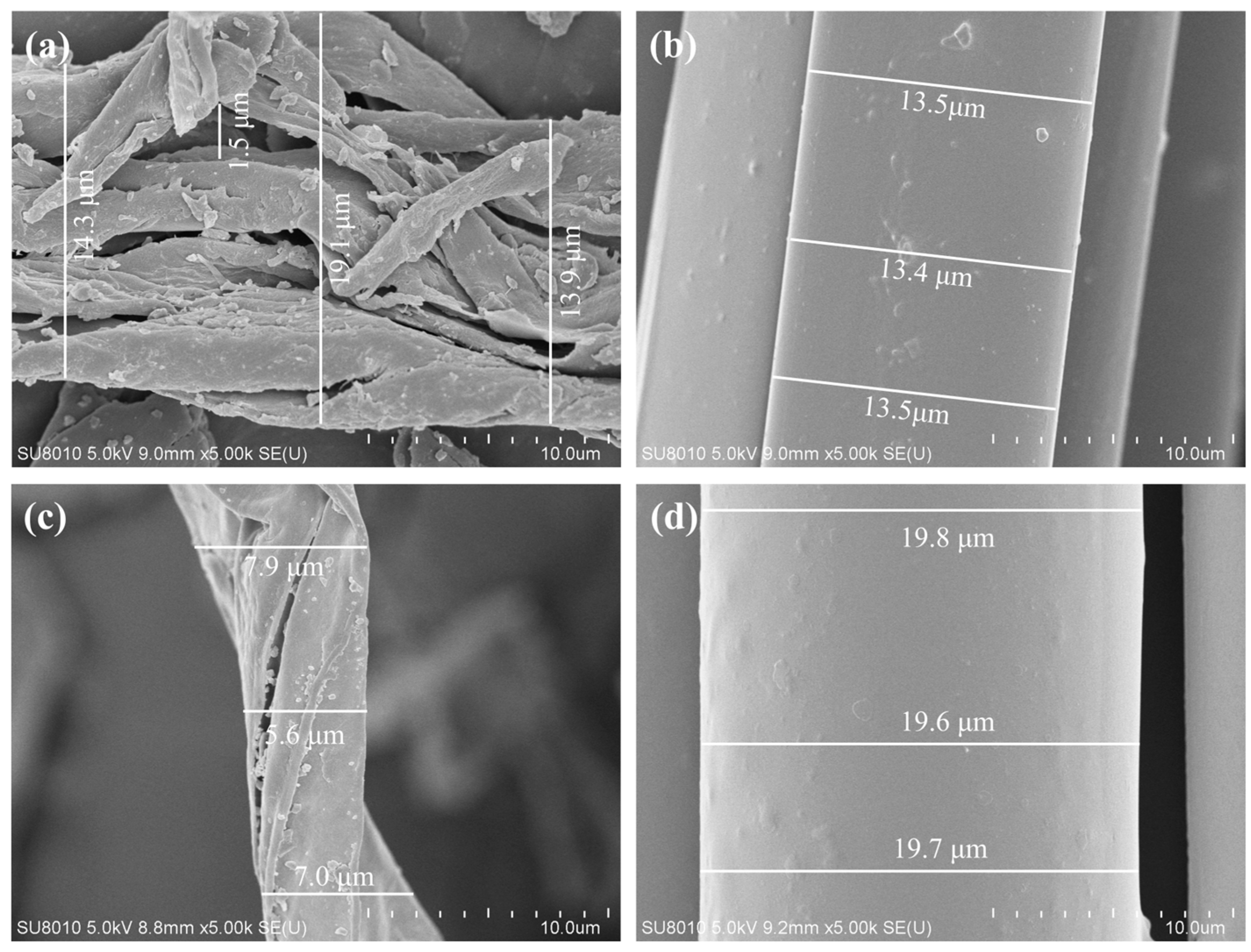 Polymers 17 02623 g009 Polymers 17 02623 g009