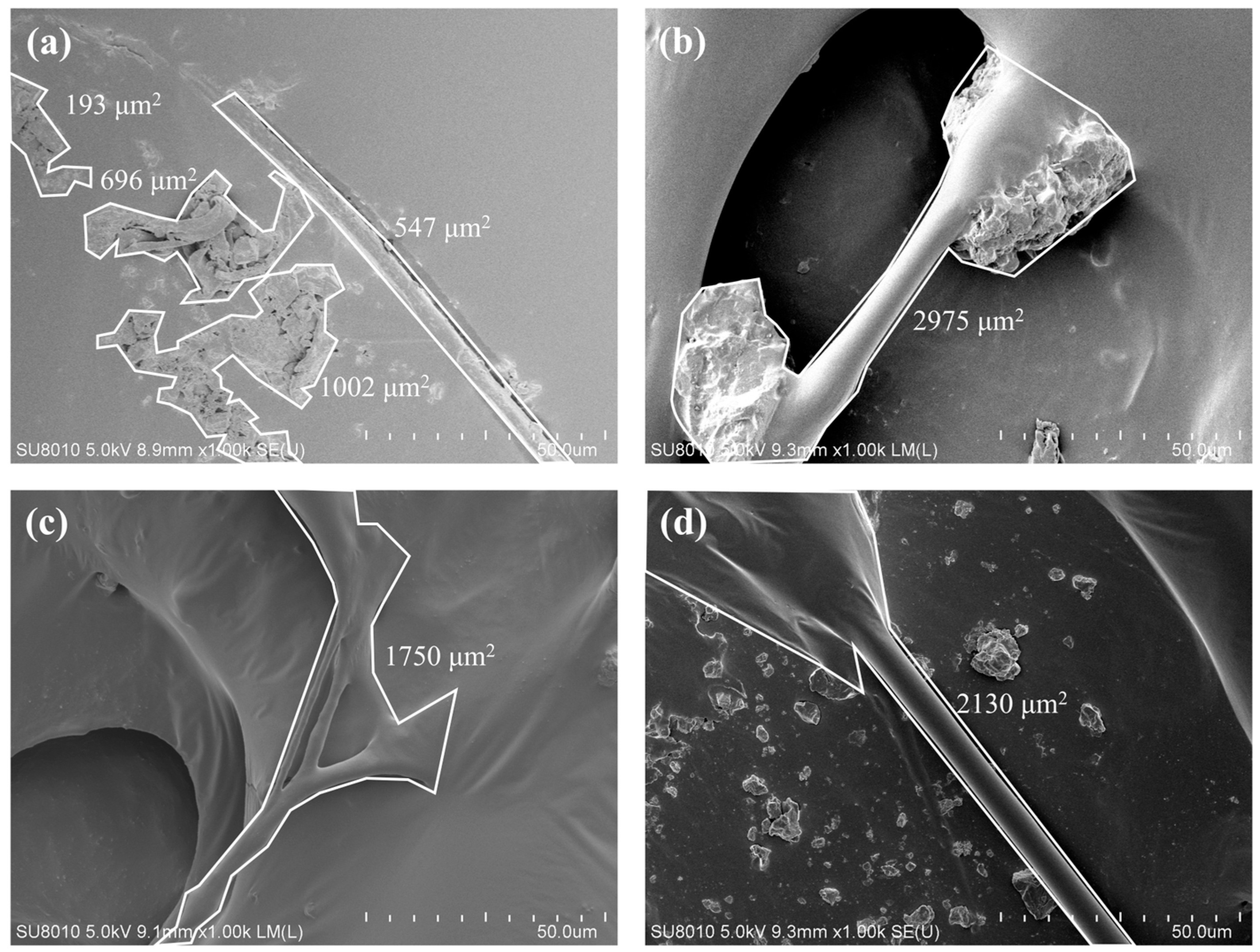 Polymers 17 02623 g010 Polymers 17 02623 g010