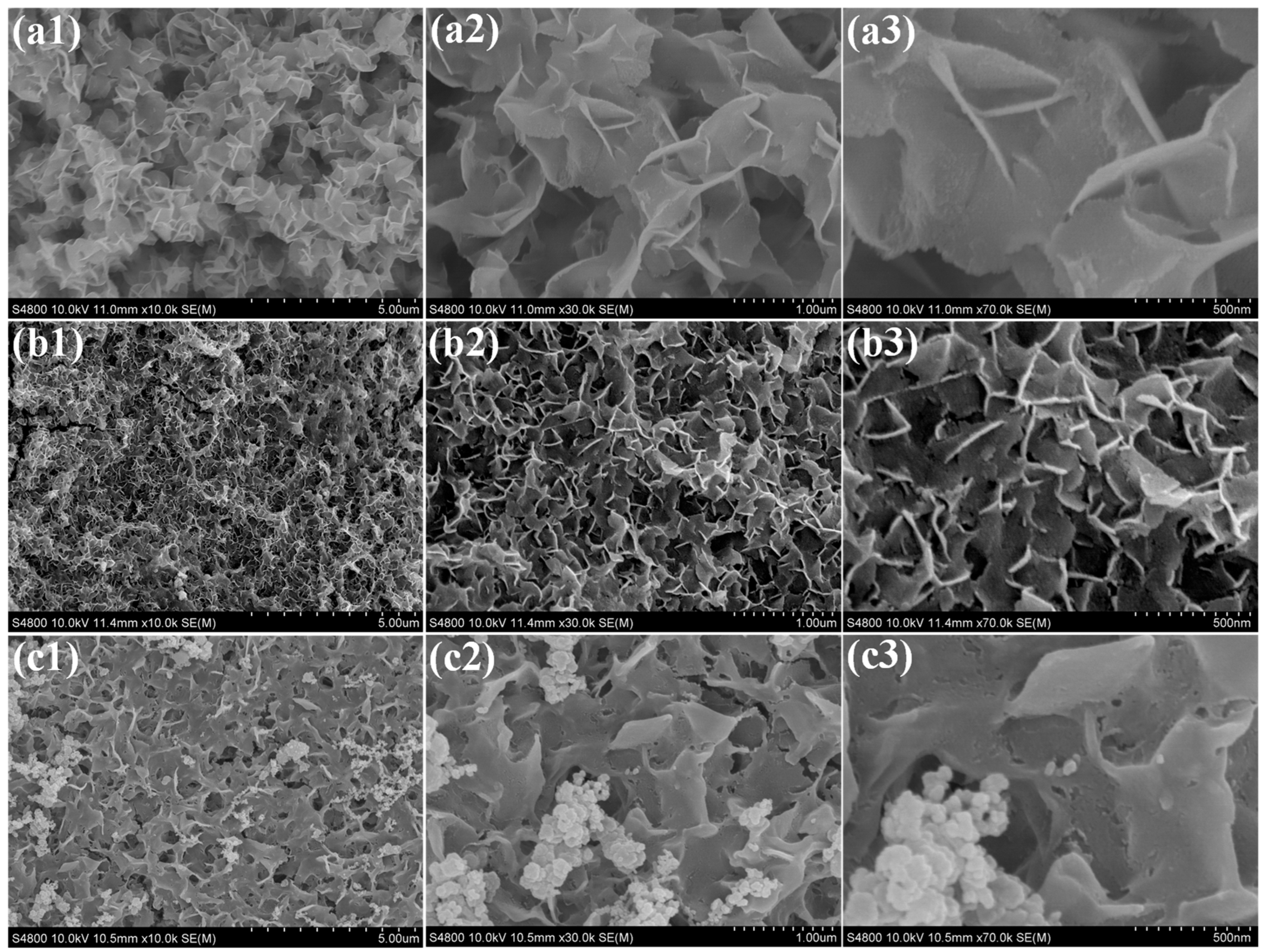Polymers 17 02631 g004 Polymers 17 02631 g004