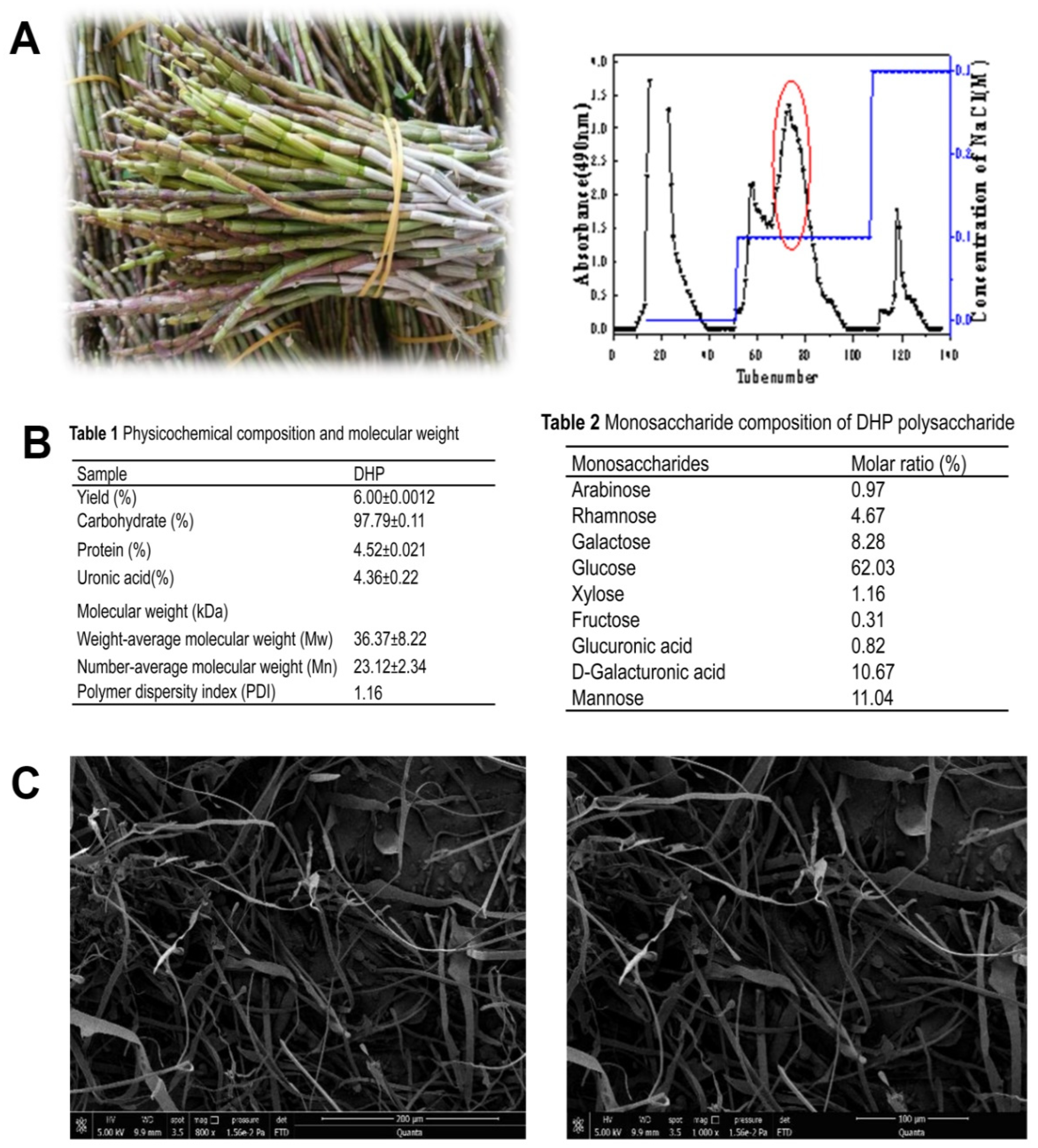 Polymers 17 02636 g001 Polymers 17 02636 g001