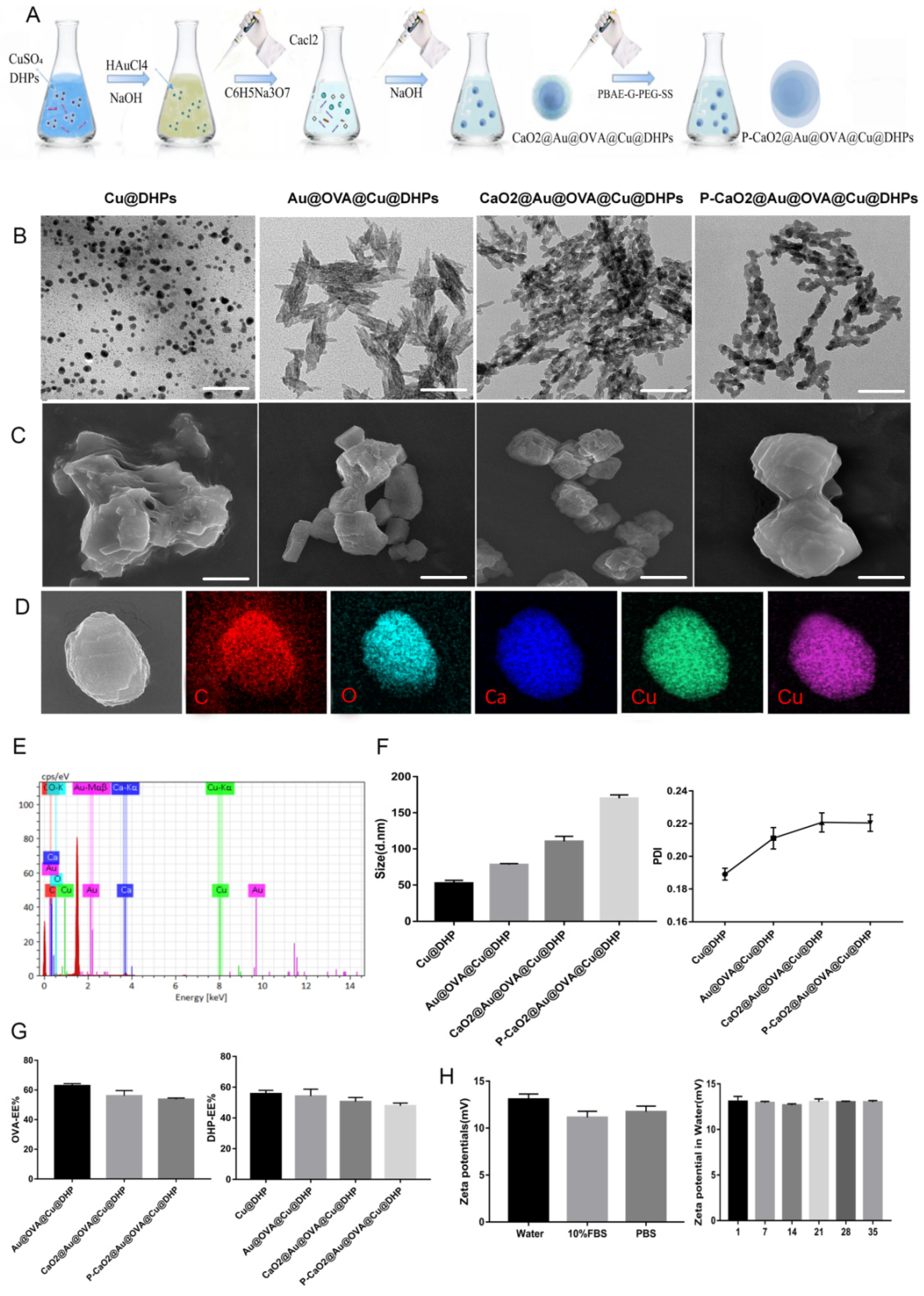 Polymers 17 02636 g002 Polymers 17 02636 g002