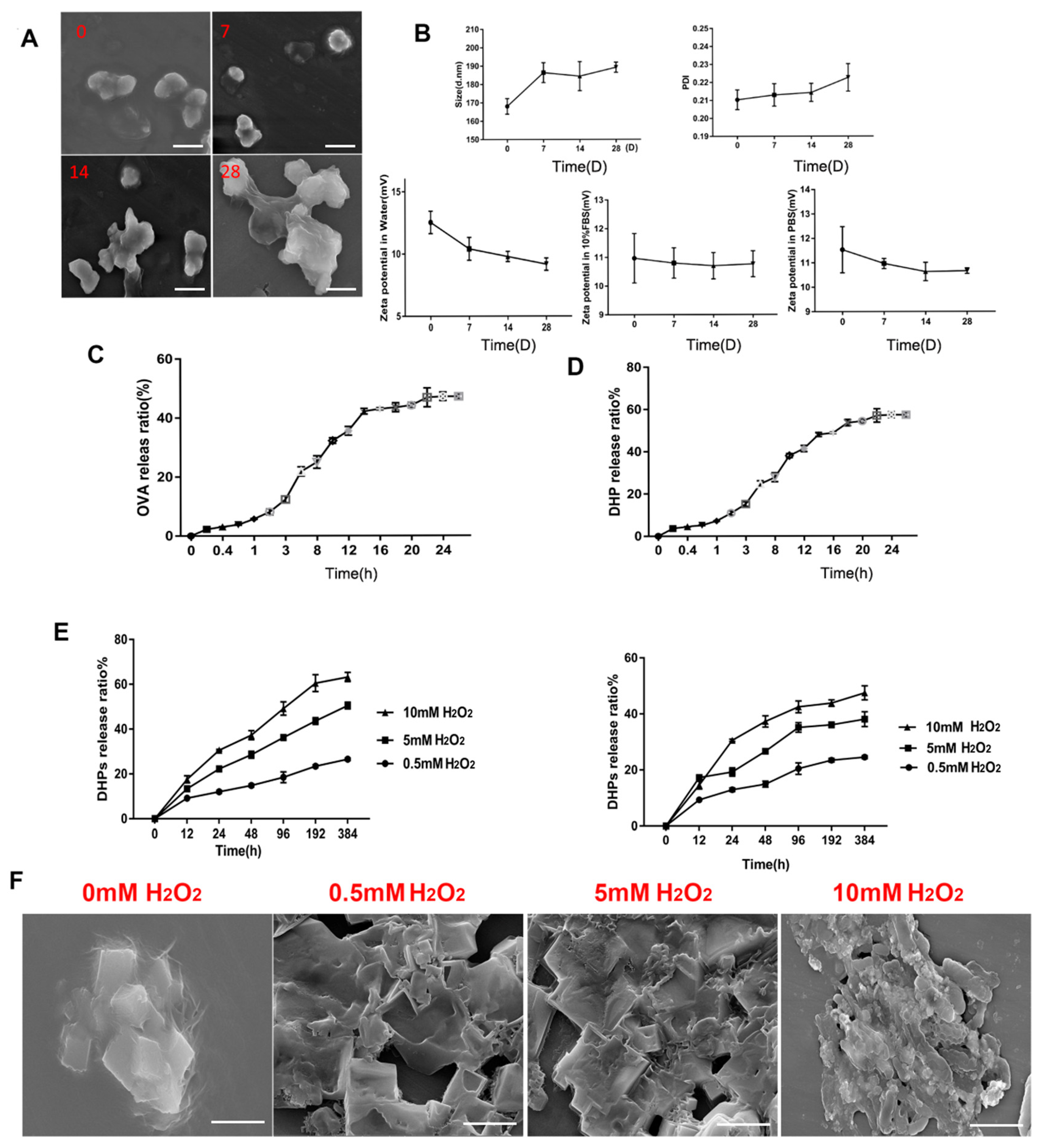 Polymers 17 02636 g003 Polymers 17 02636 g003