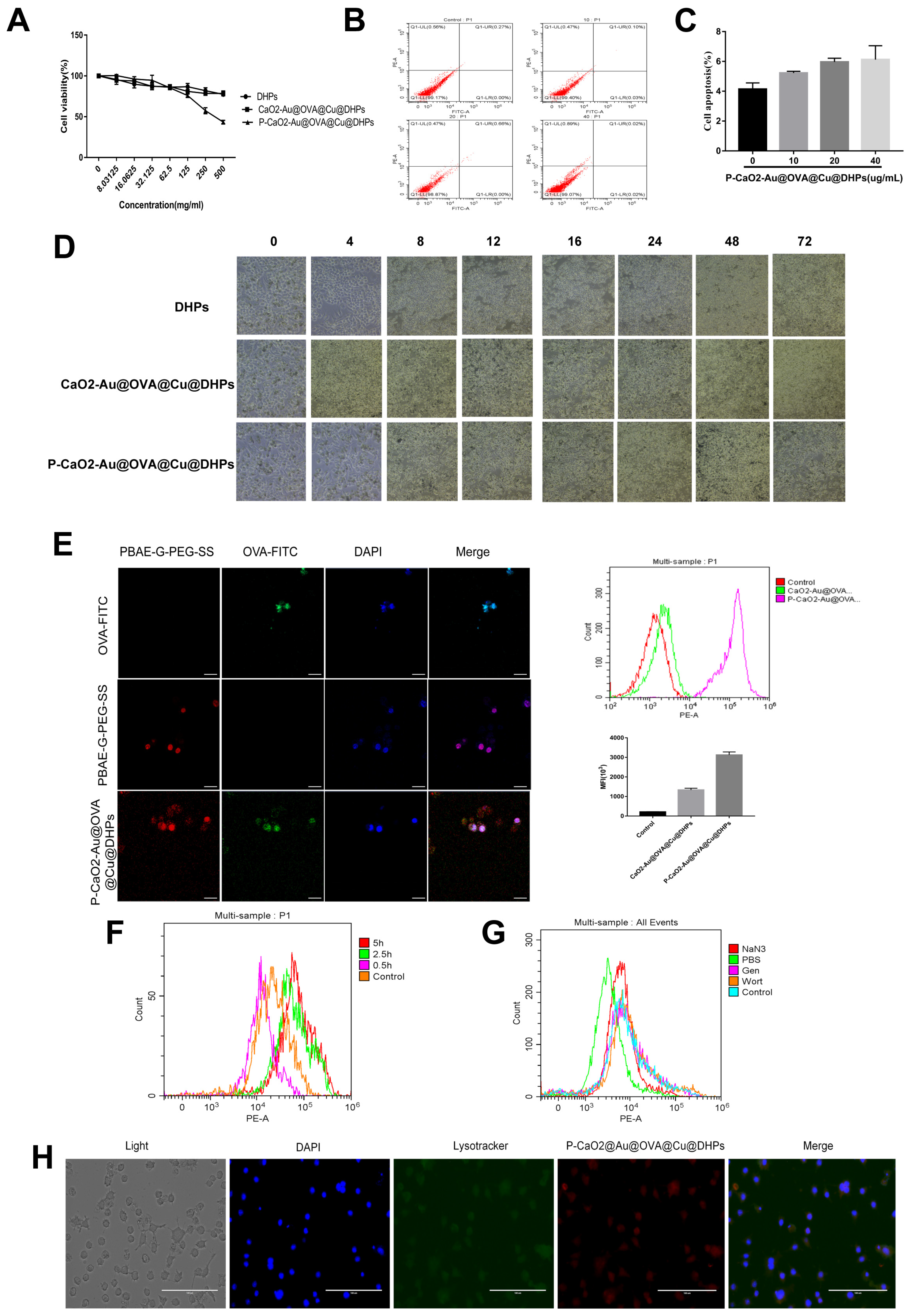 Polymers 17 02636 g004 Polymers 17 02636 g004
