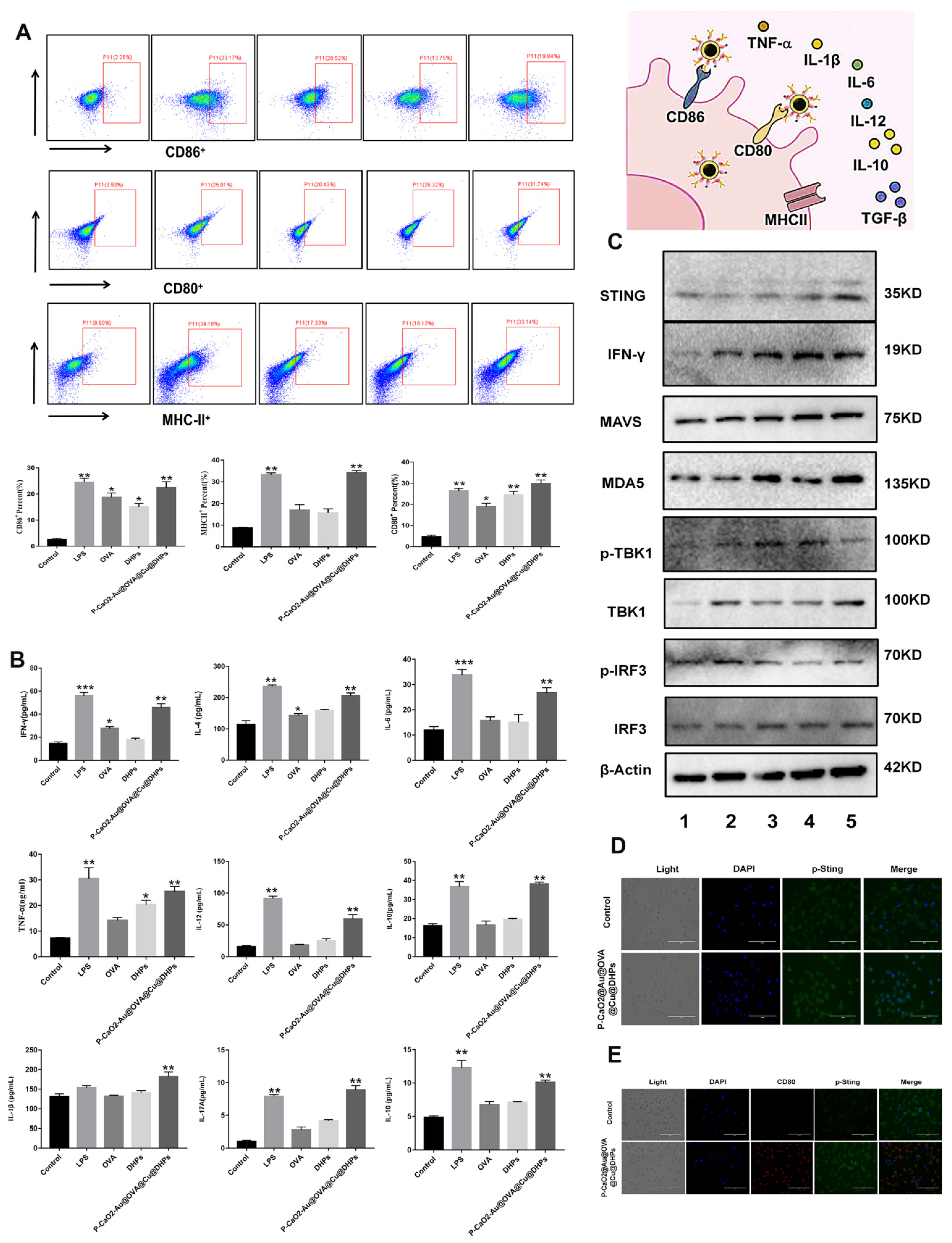Polymers 17 02636 g005 Polymers 17 02636 g005