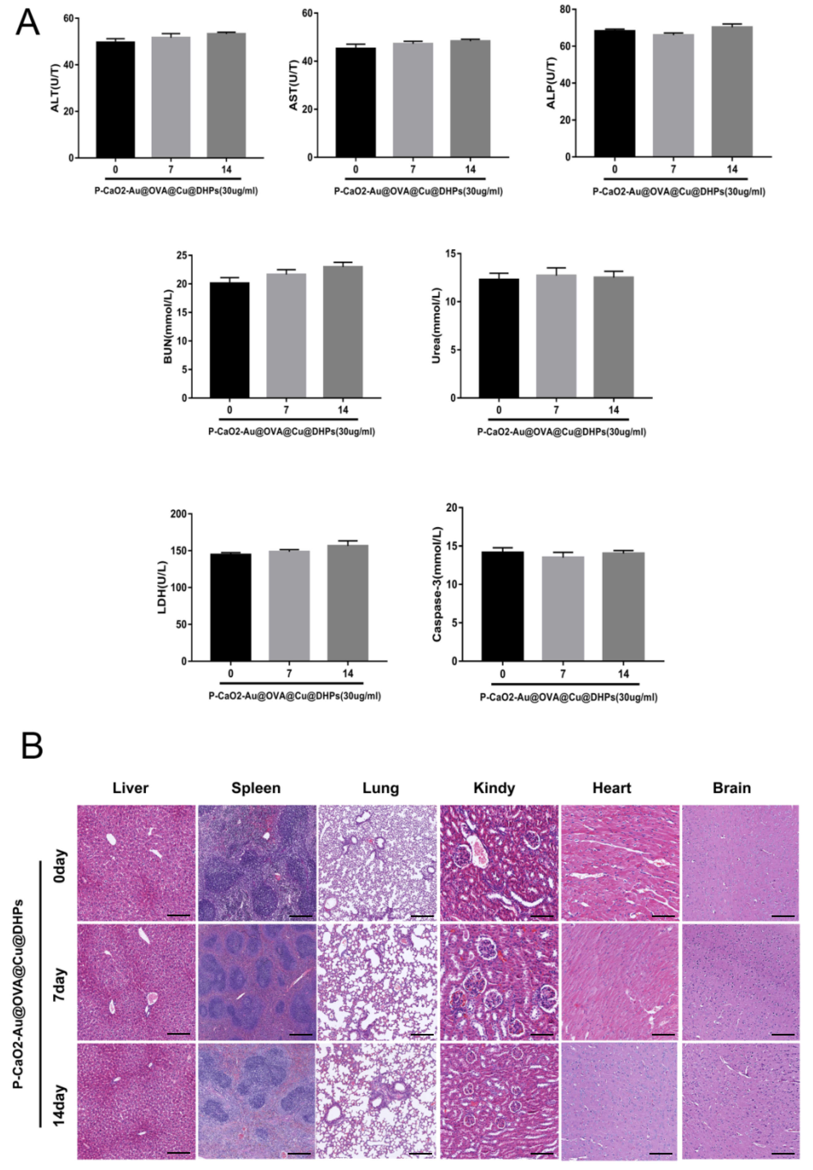 Polymers 17 02636 g009 Polymers 17 02636 g009