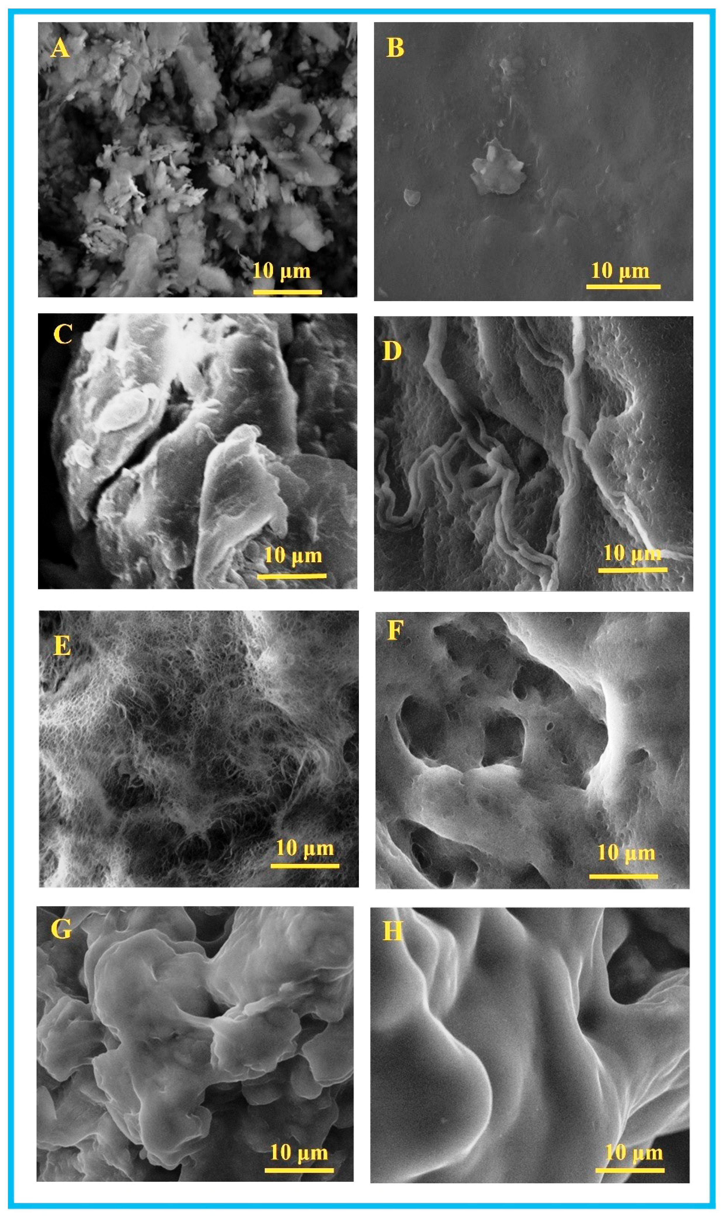 Polymers 17 02637 g001 Polymers 17 02637 g001
