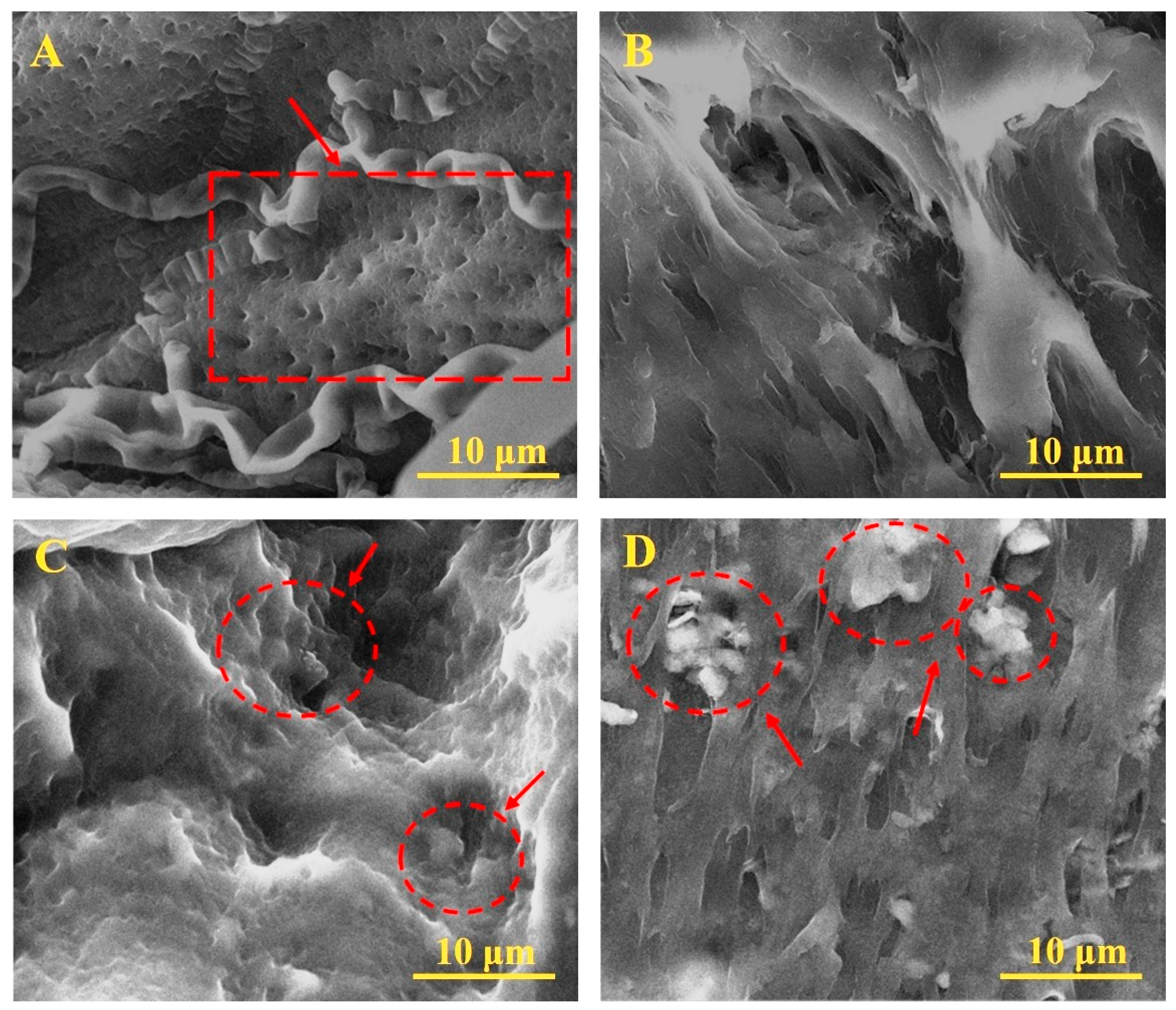 Polymers 17 02637 g002 Polymers 17 02637 g002
