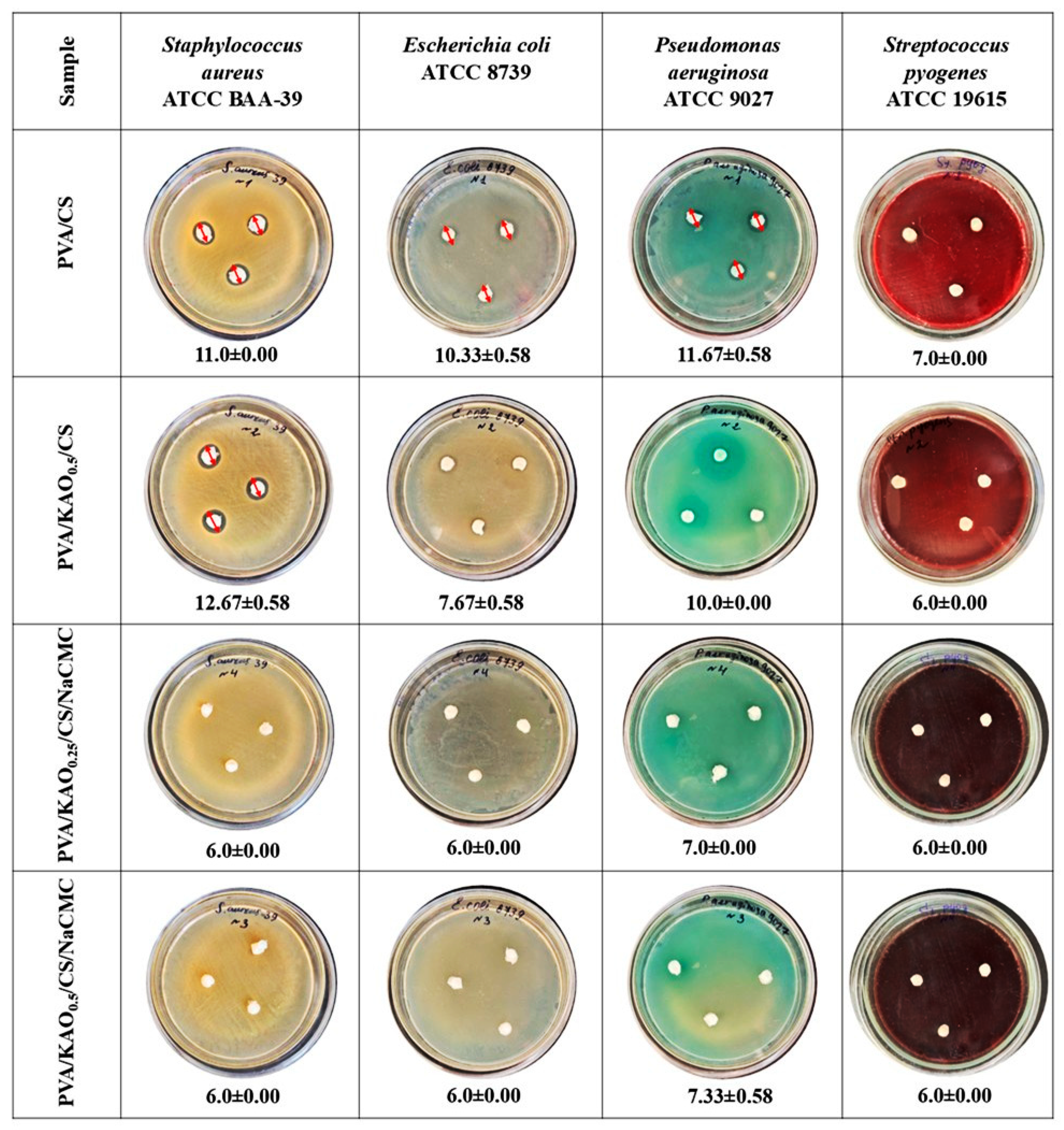 Polymers 17 02637 g008 Polymers 17 02637 g008