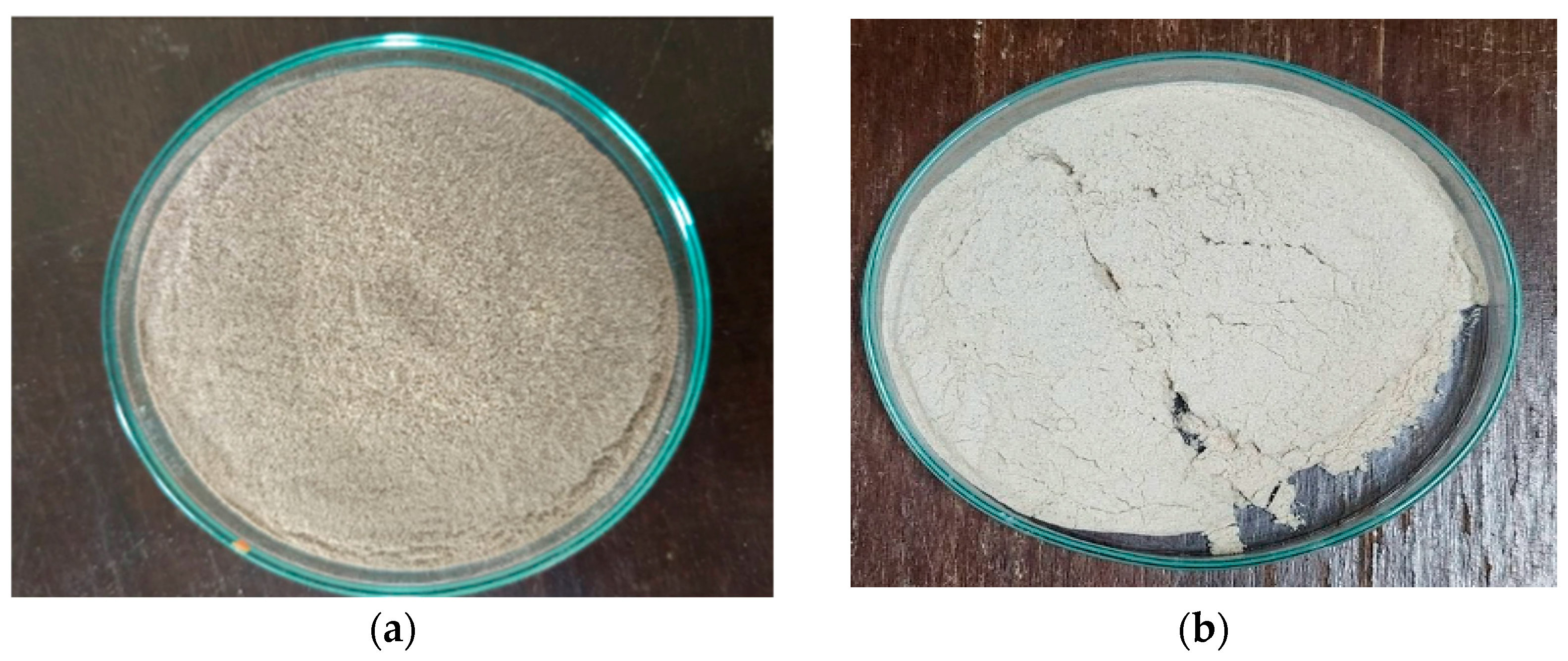 Polymers 17 02709 g001 Polymers 17 02709 g001