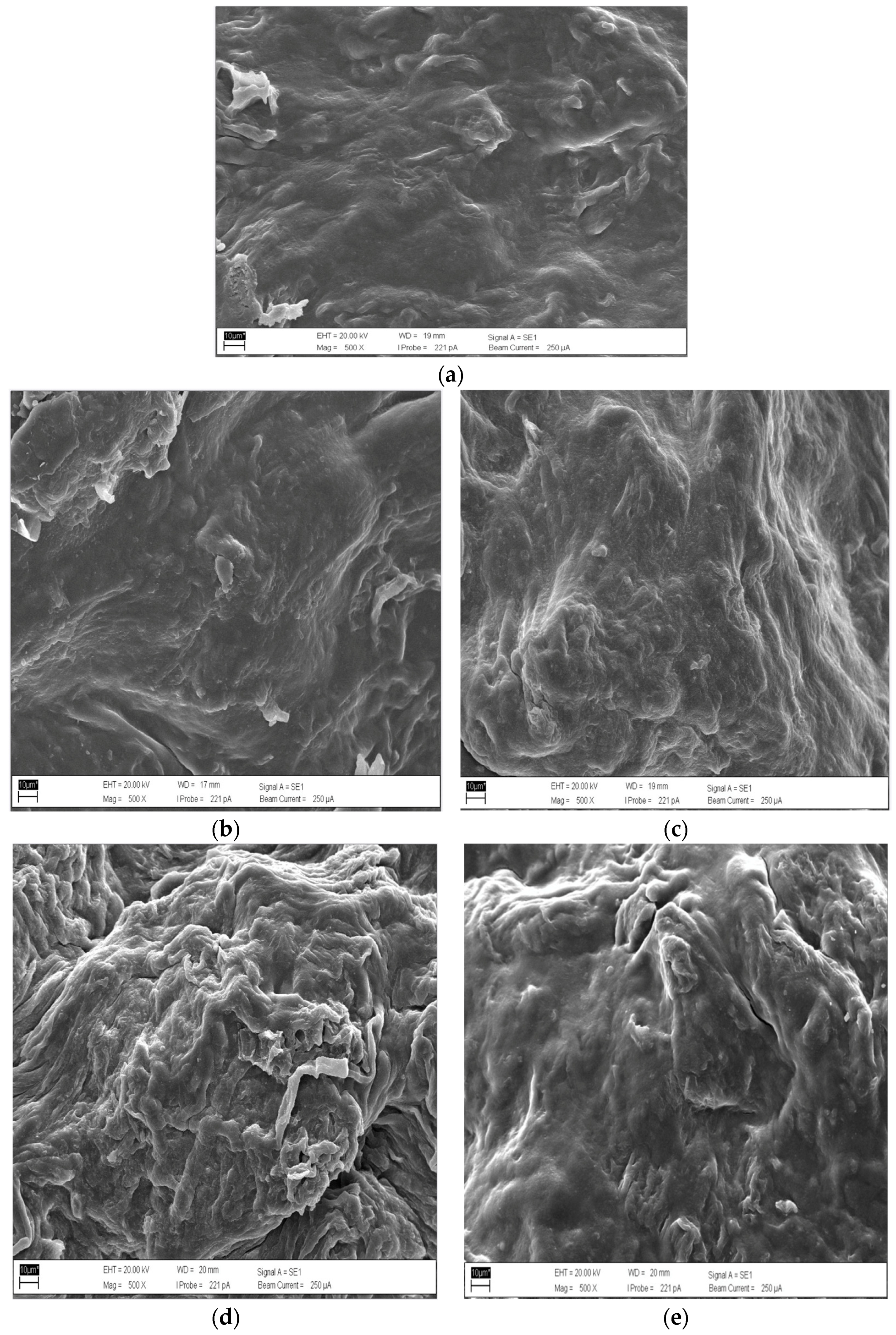 Polymers 17 02709 g005 Polymers 17 02709 g005