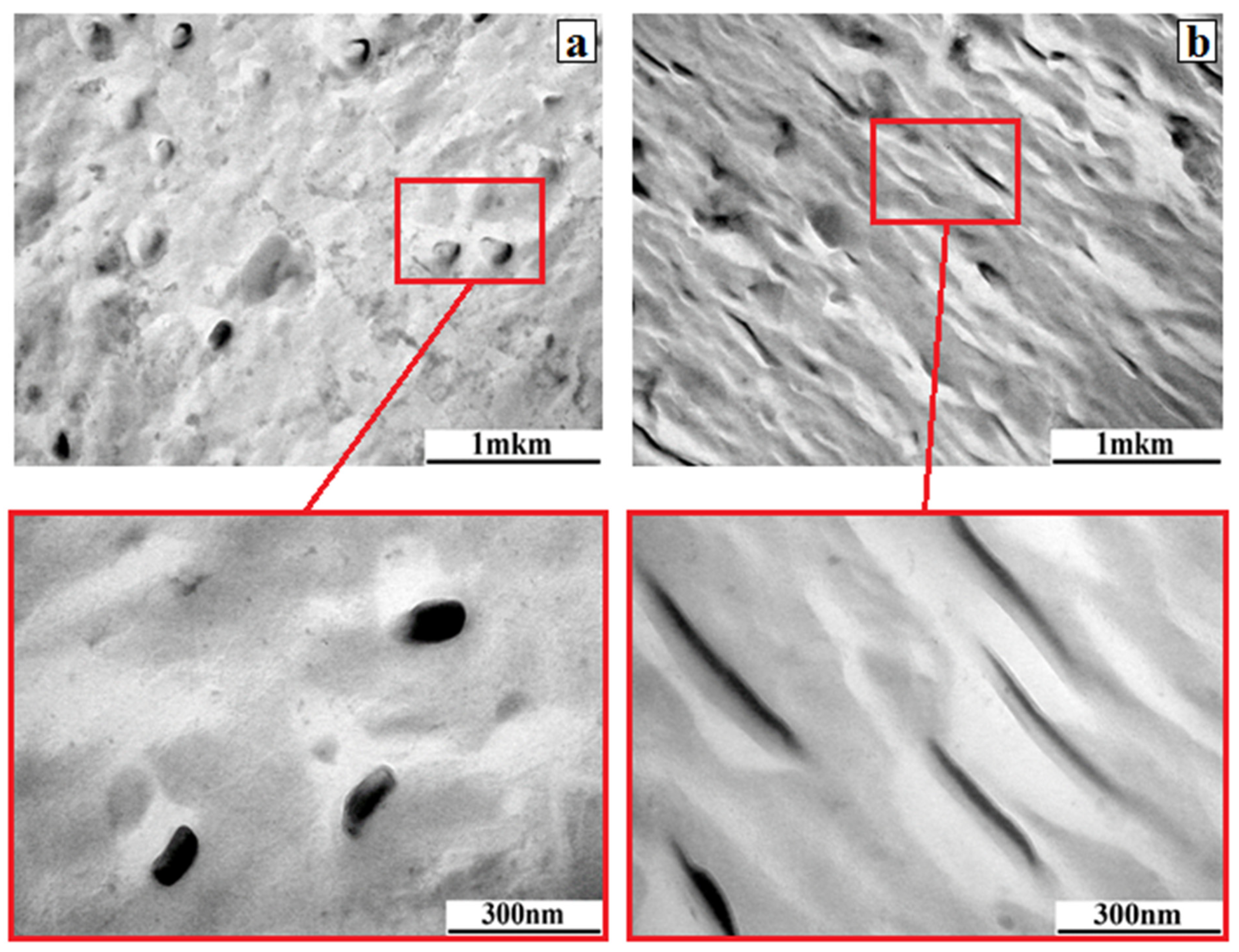 Polymers 17 02739 g011 Polymers 17 02739 g011