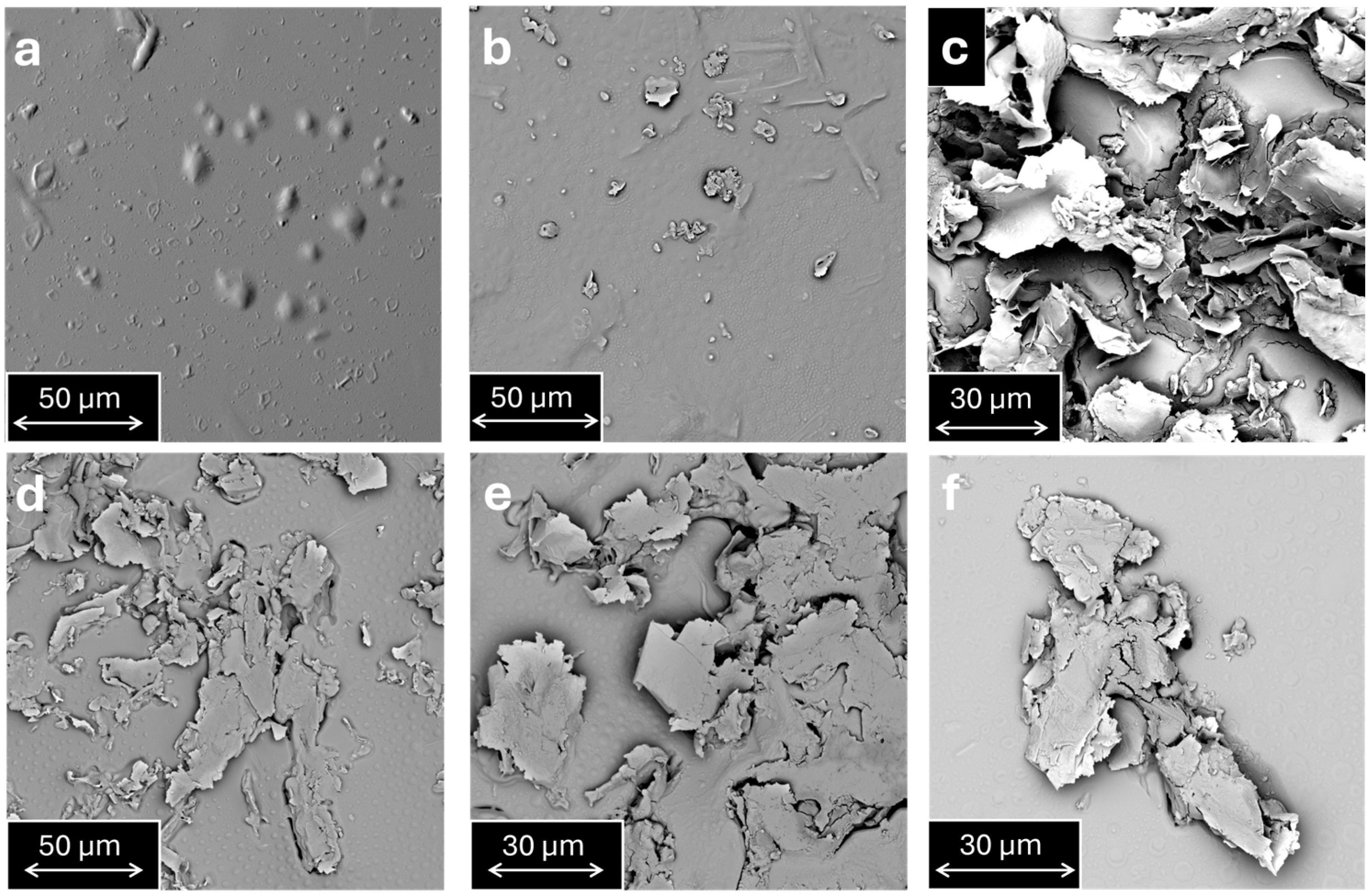Polymers 17 02759 g007 Polymers 17 02759 g007