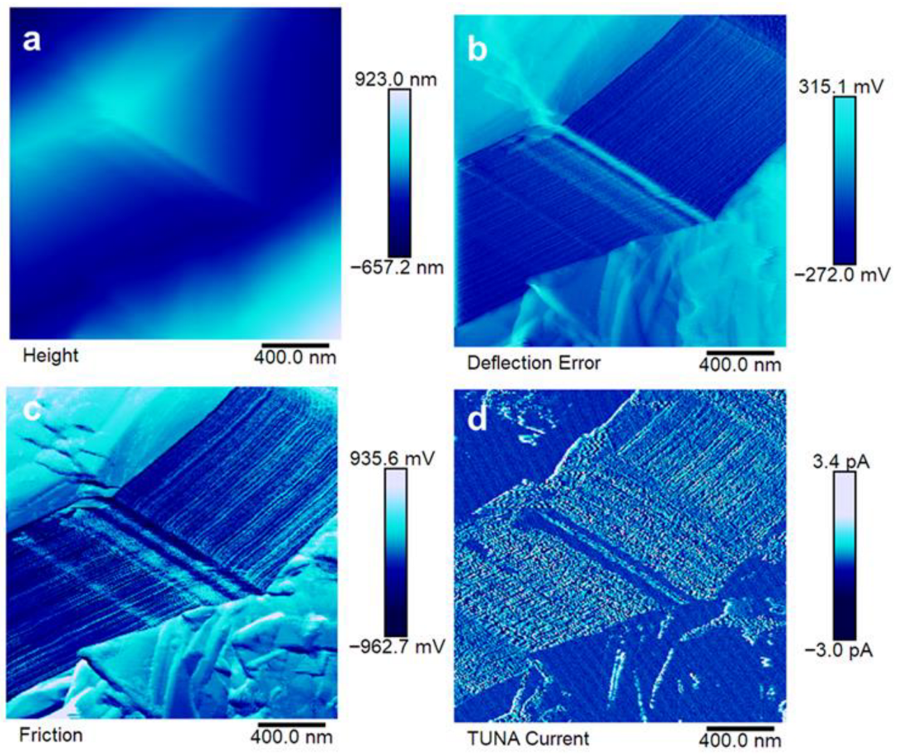 Polymers 17 02759 g009 Polymers 17 02759 g009