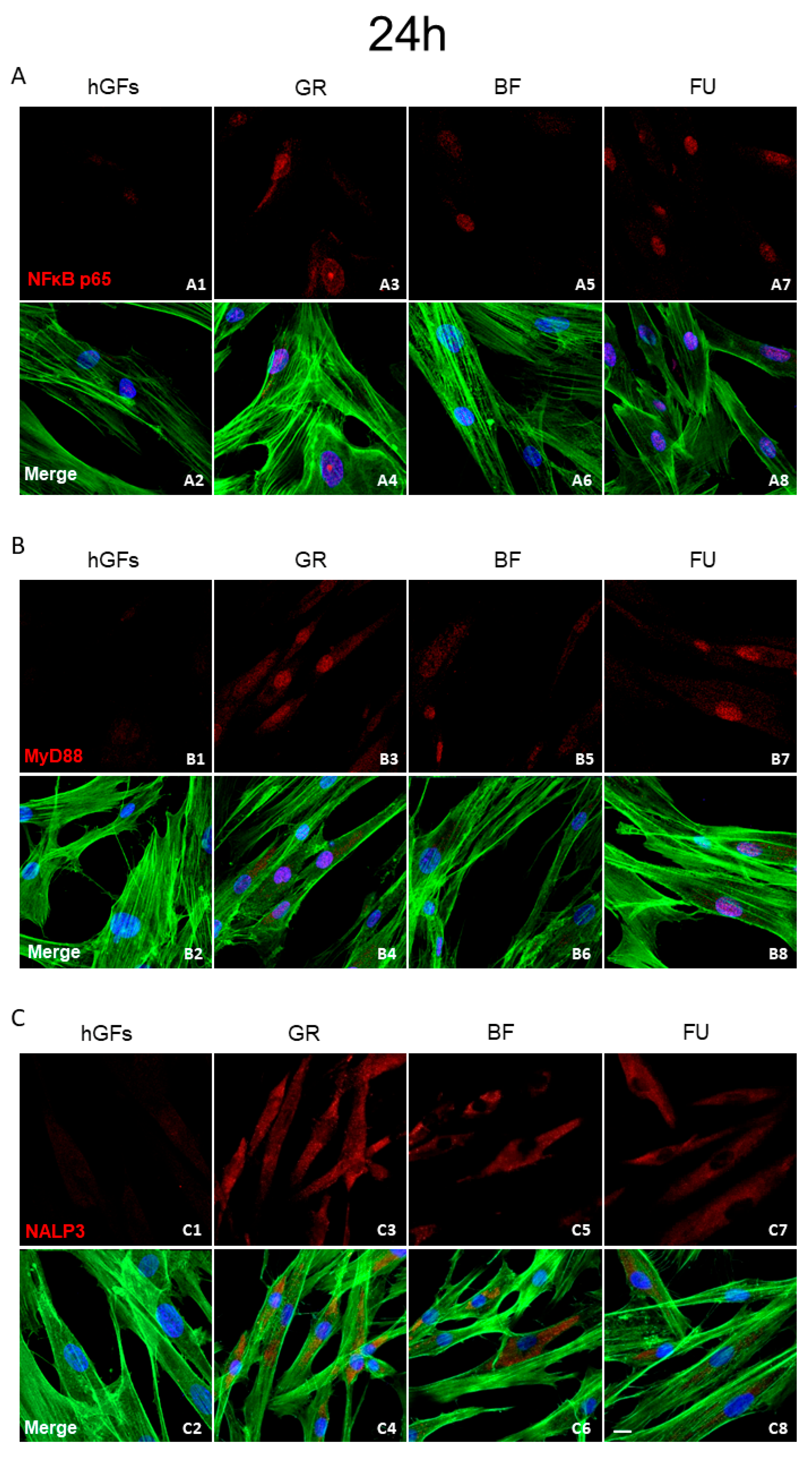 Polymers 17 02779 g002 Polymers 17 02779 g002