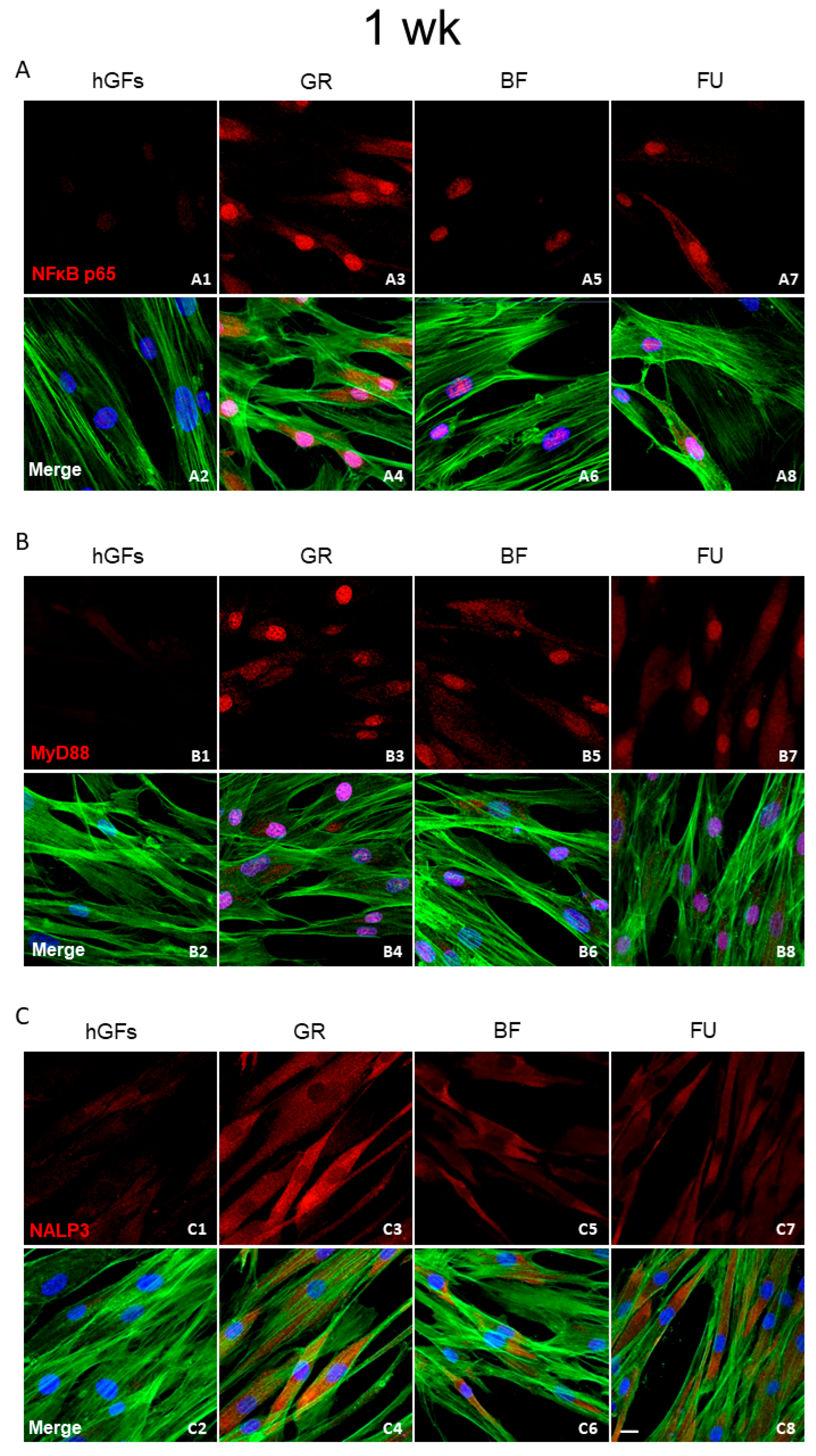 Polymers 17 02779 g003 Polymers 17 02779 g003