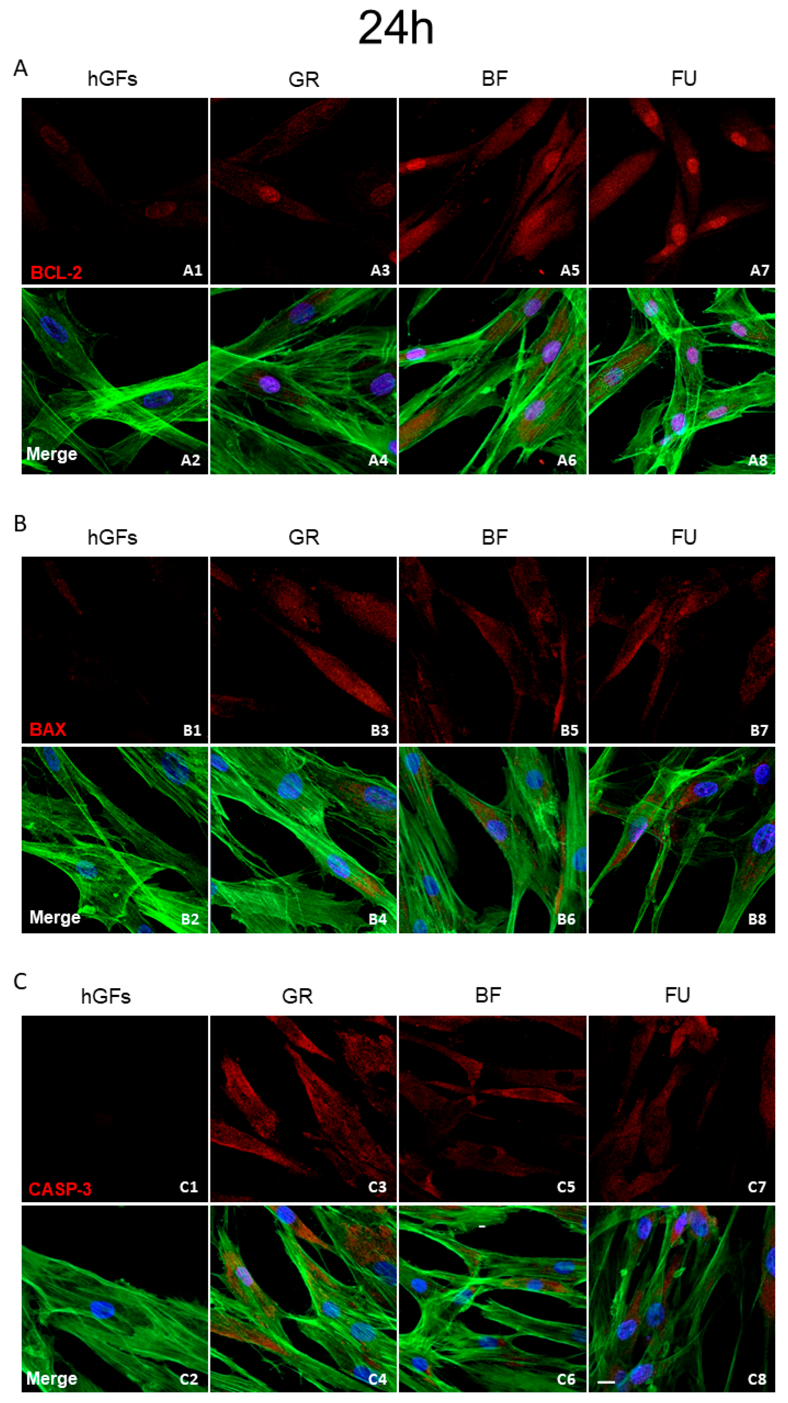 Polymers 17 02779 g005 Polymers 17 02779 g005