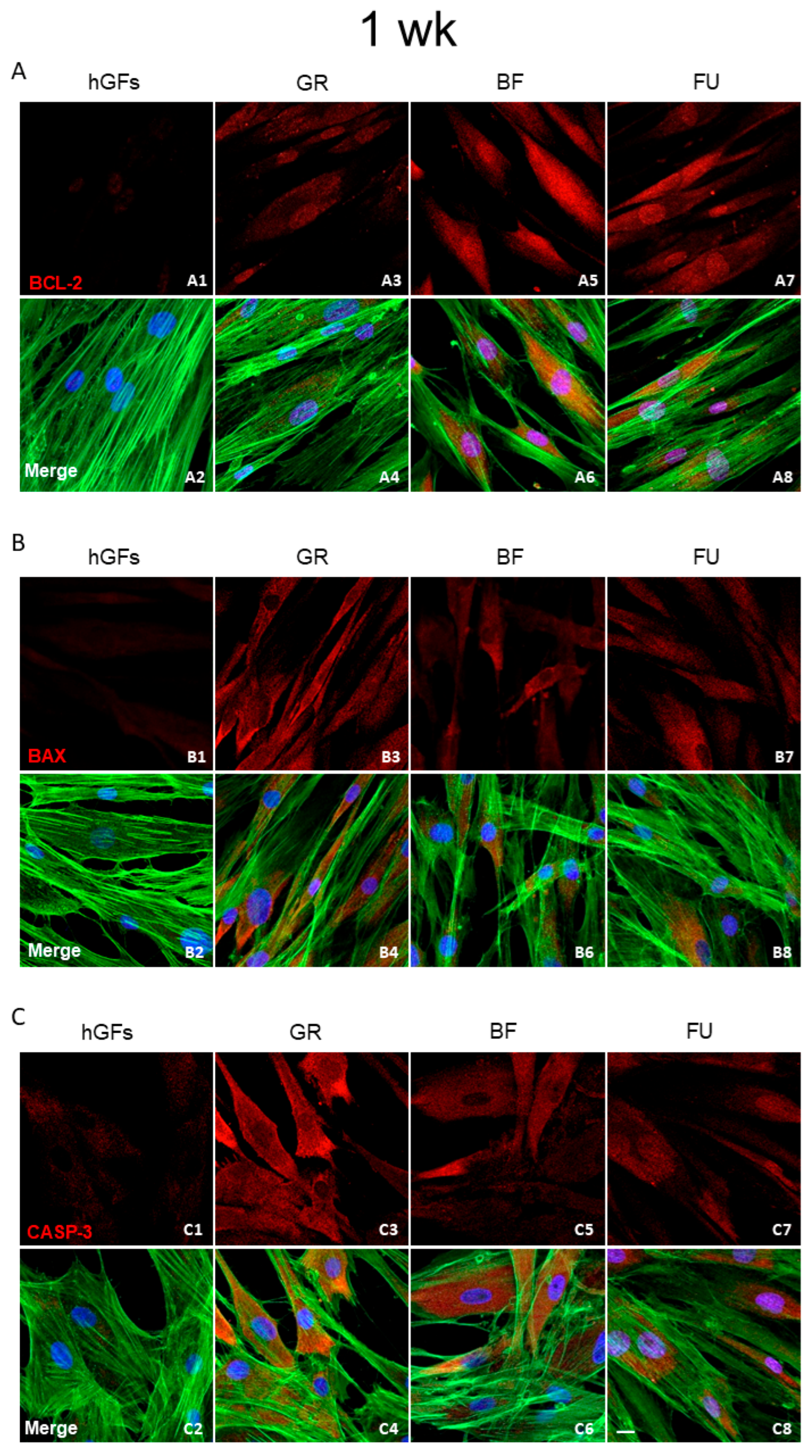 Polymers 17 02779 g006 Polymers 17 02779 g006