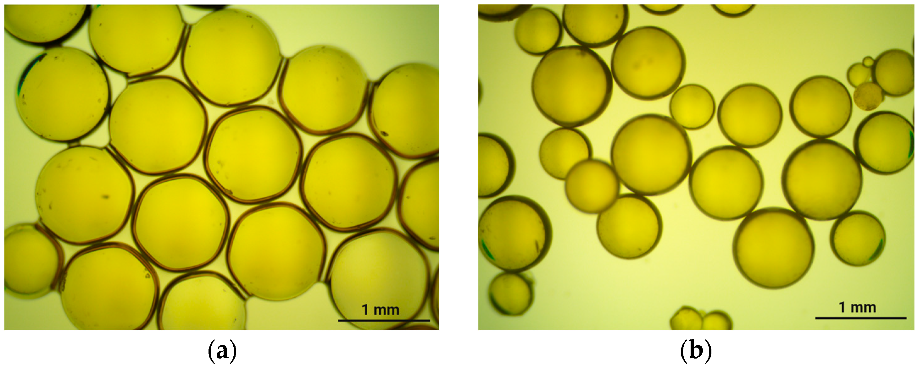 Polymers 17 02808 g001 Polymers 17 02808 g001
