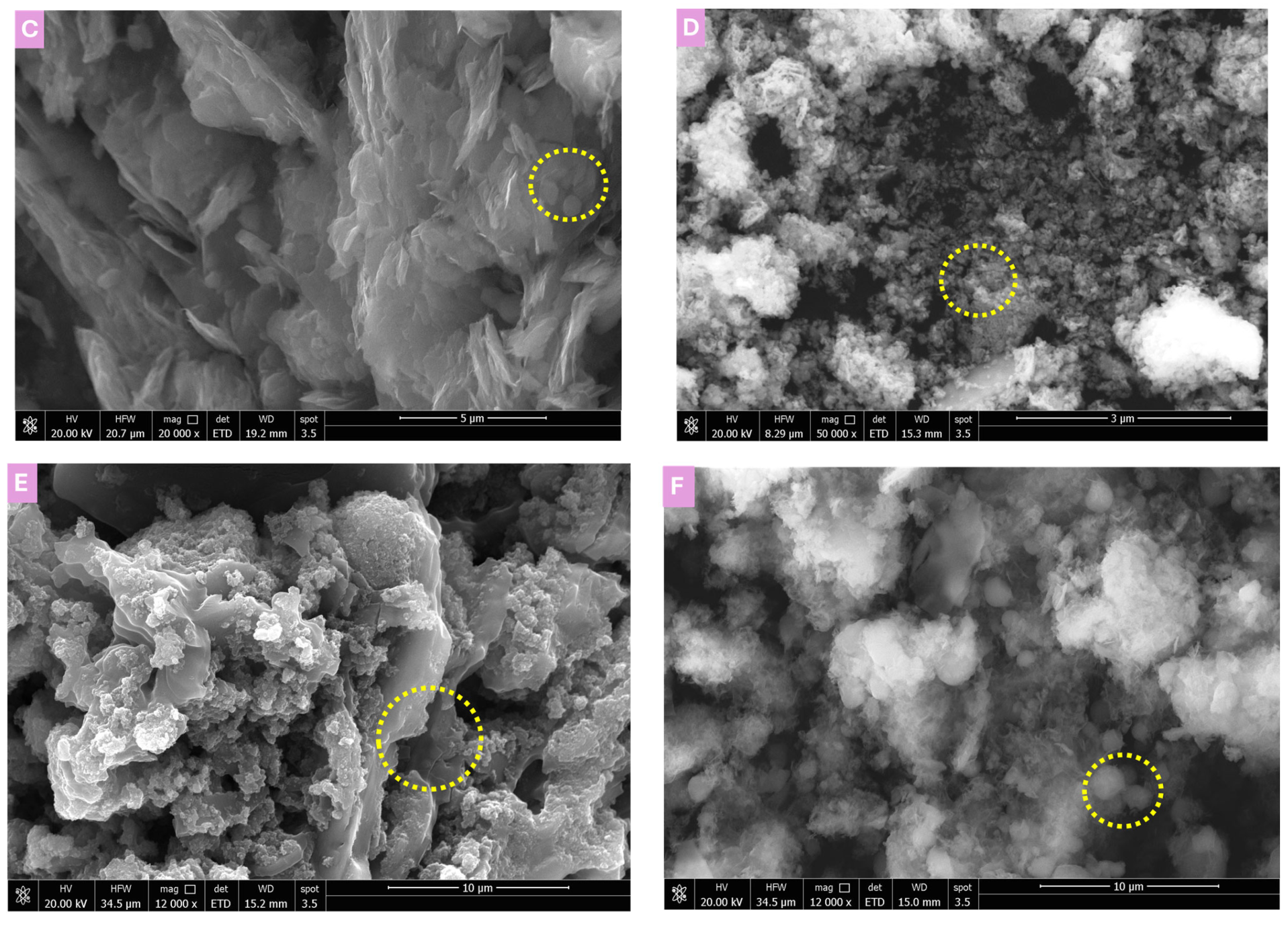 Polymers 17 02818 g003b Polymers 17 02818 g003b