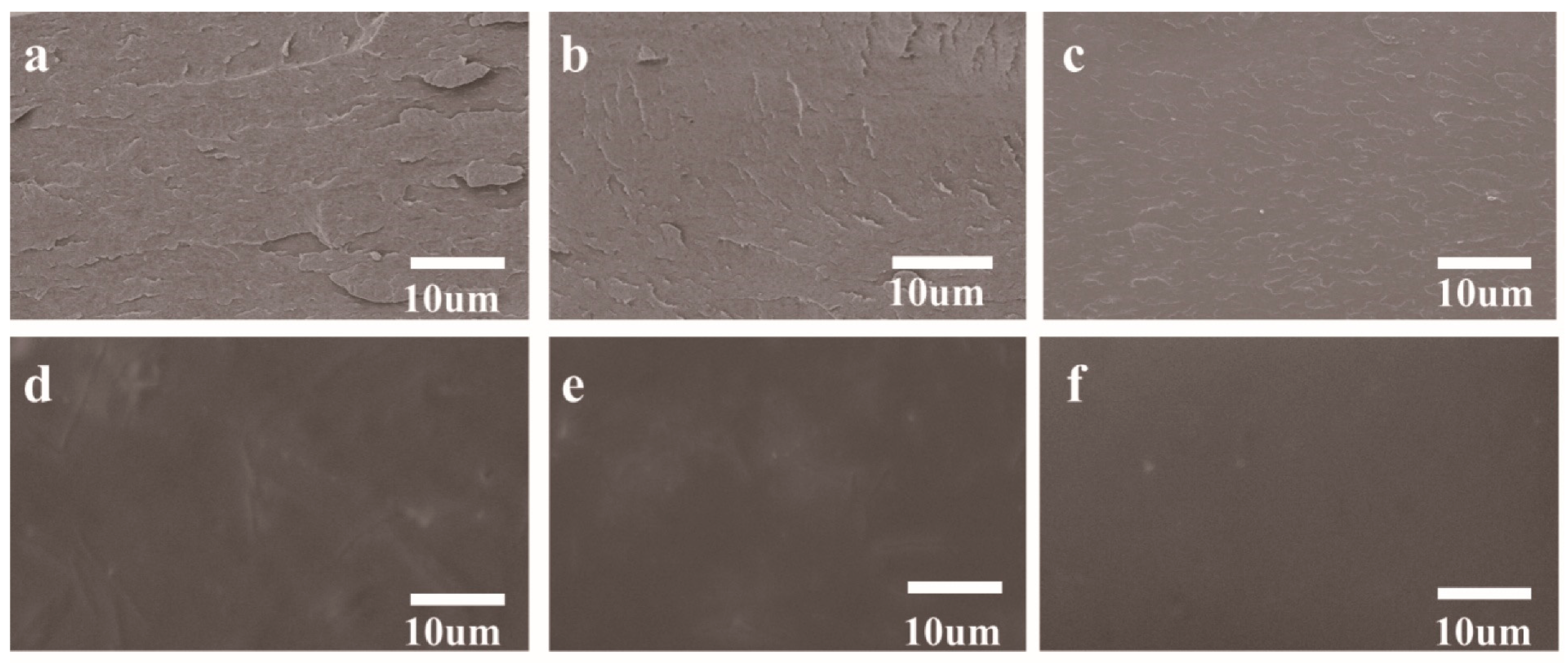 Polymers 17 02821 g002 Polymers 17 02821 g002