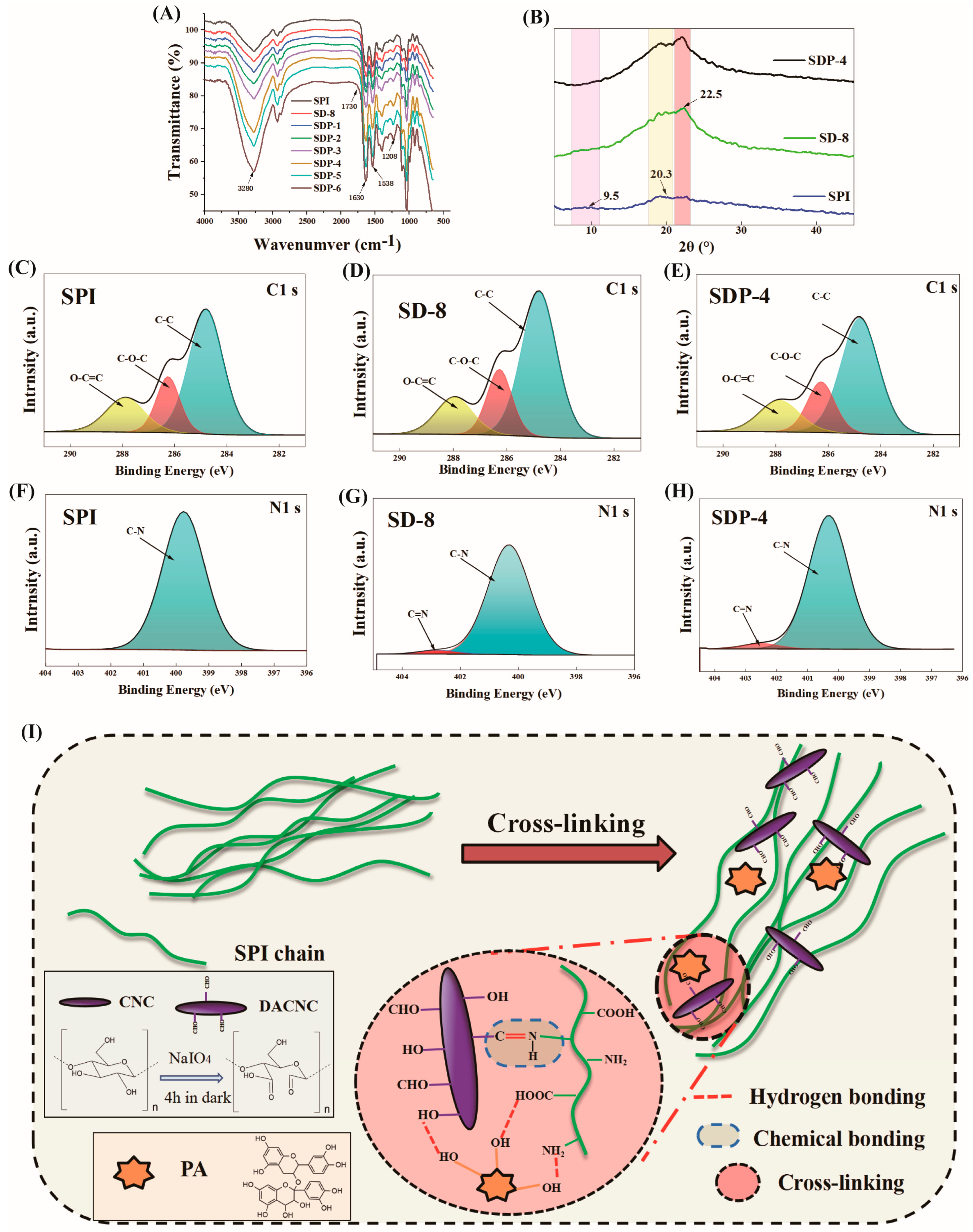 Polymers 17 02821 g003 Polymers 17 02821 g003