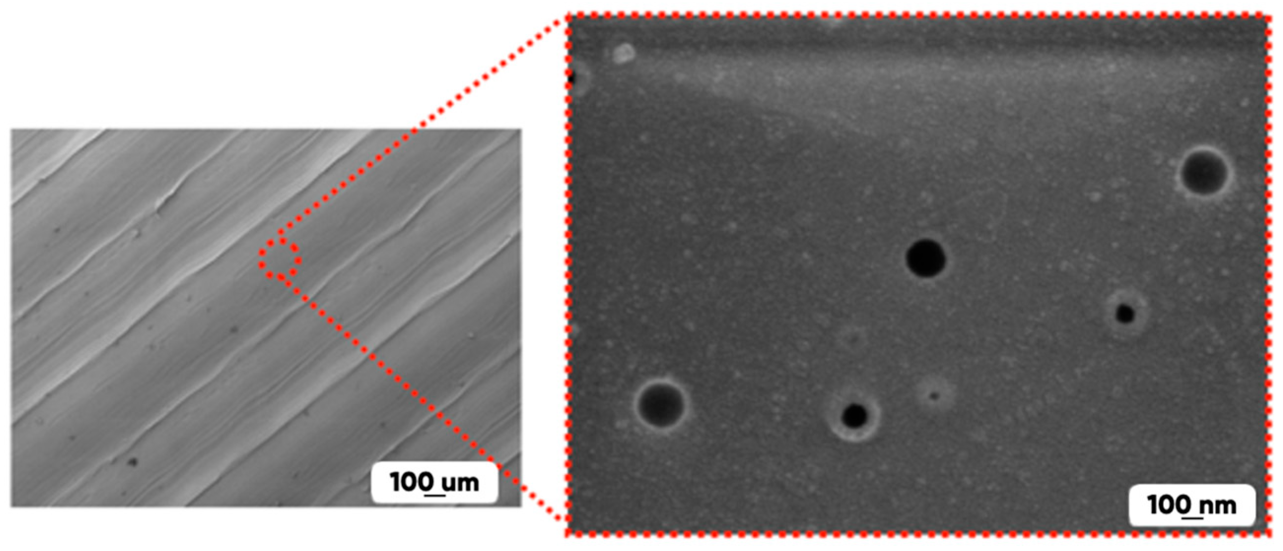 Polymers 17 02824 g005 Polymers 17 02824 g005