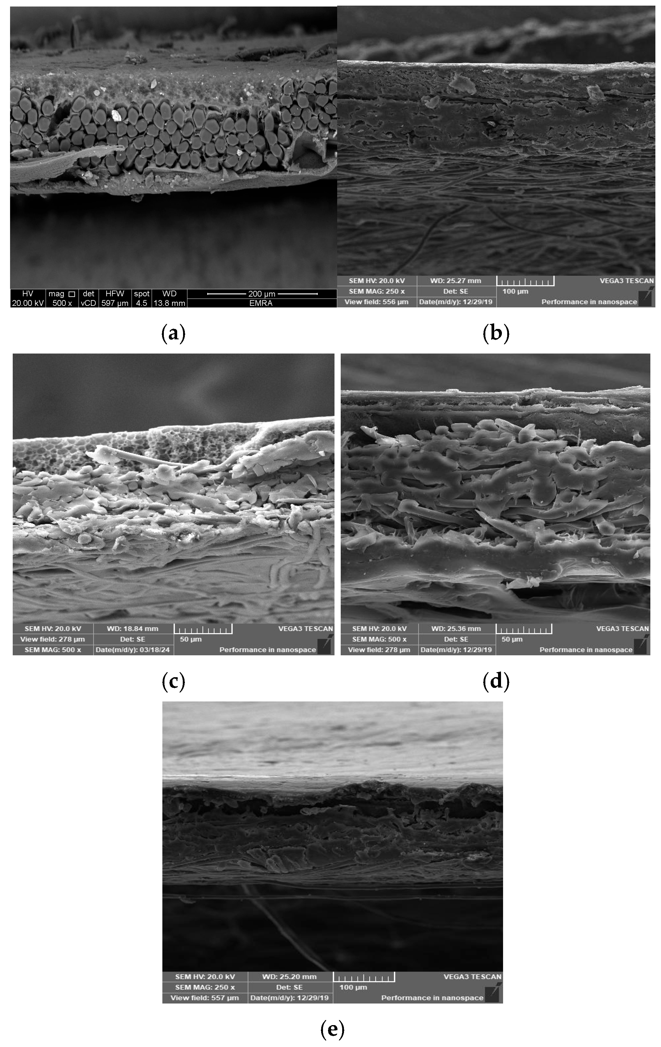Polymers 17 02825 g007 Polymers 17 02825 g007
