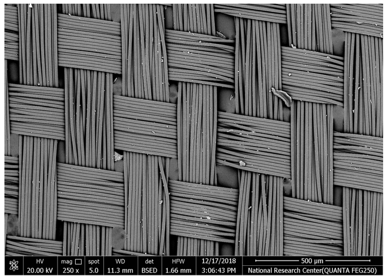 Polymers 17 02825 i001 Polymers 17 02825 i001