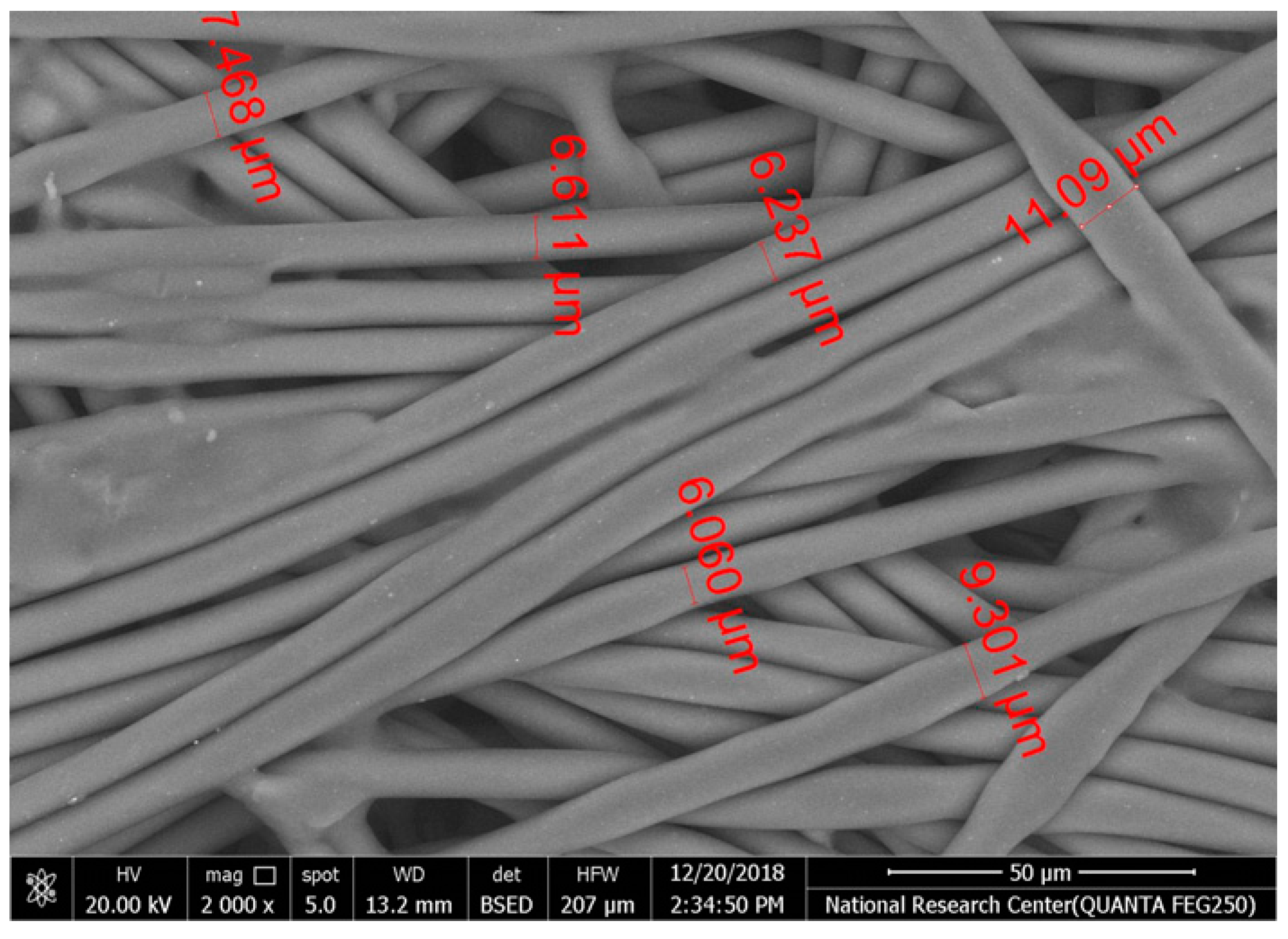 Polymers 17 02825 i004 Polymers 17 02825 i004