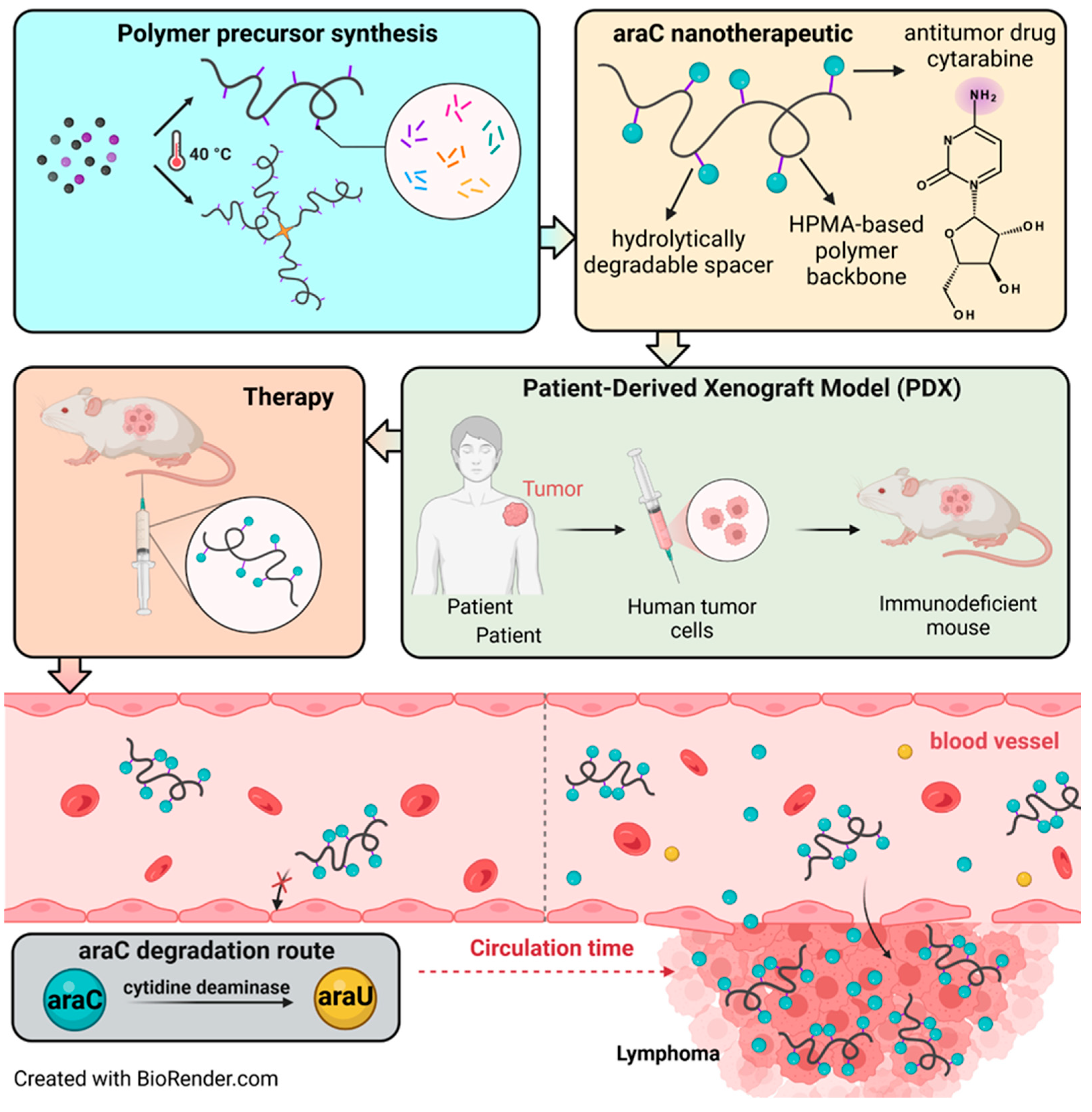 Polymers 17 02837 g001 Polymers 17 02837 g001