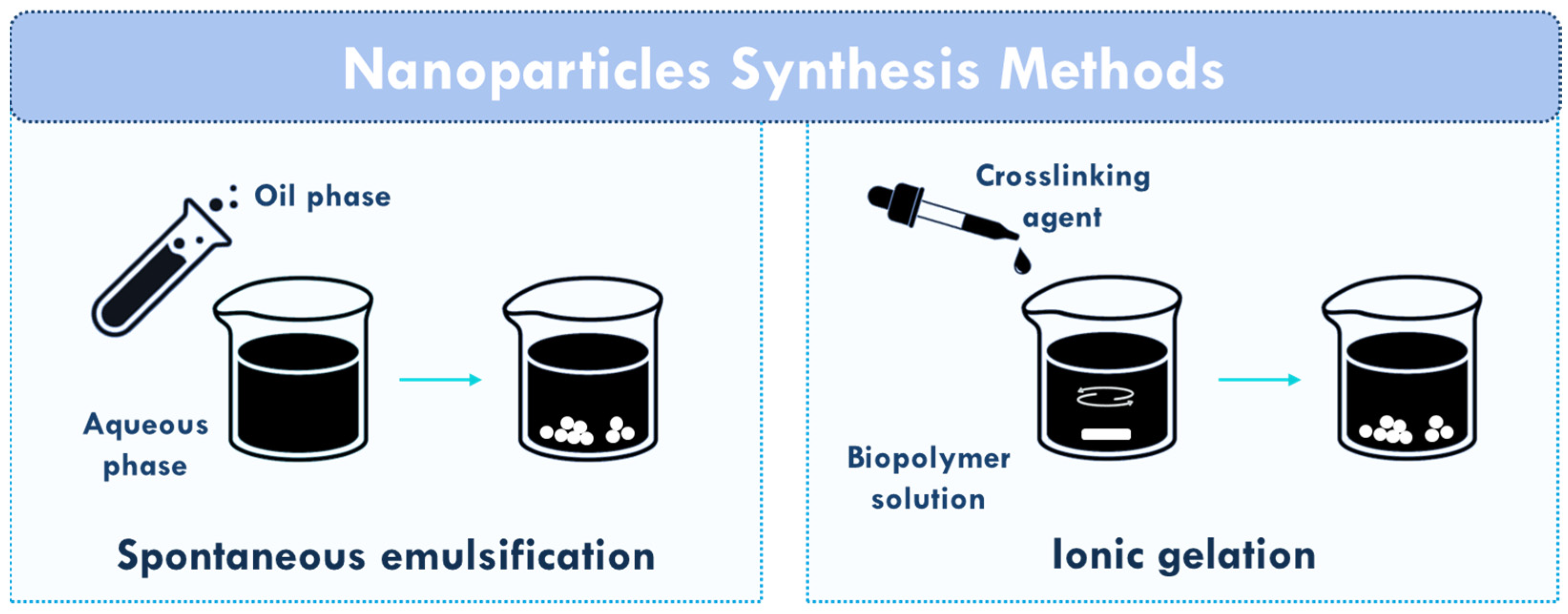 Polymers 17 02838 g003 Polymers 17 02838 g003