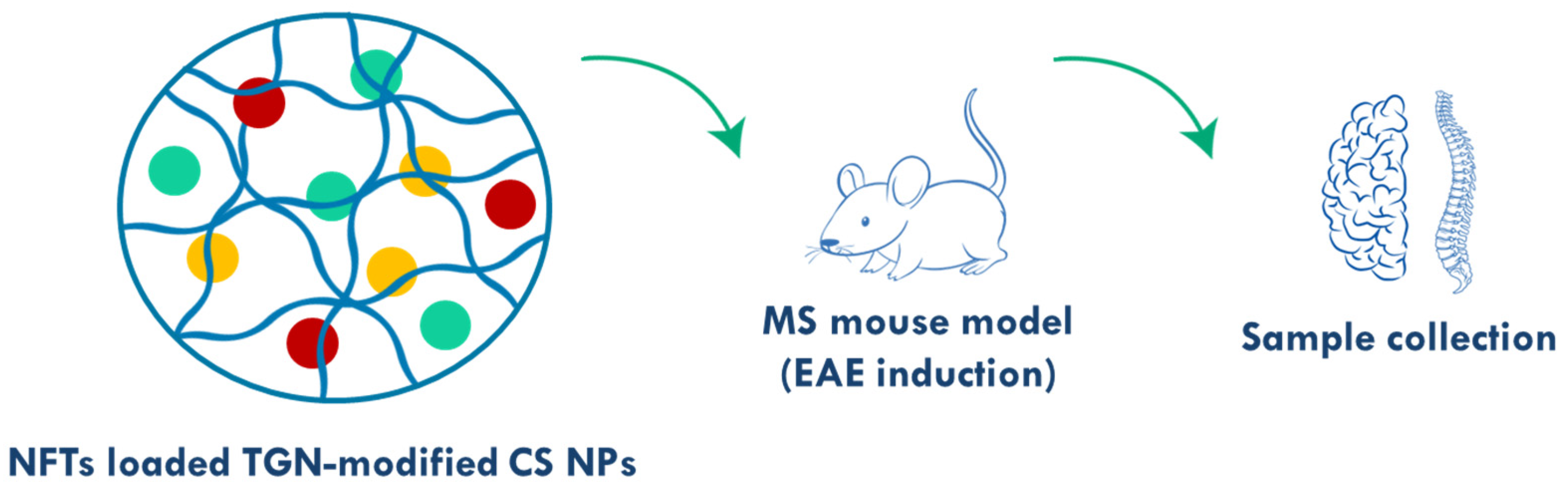 Polymers 17 02838 g006 Polymers 17 02838 g006