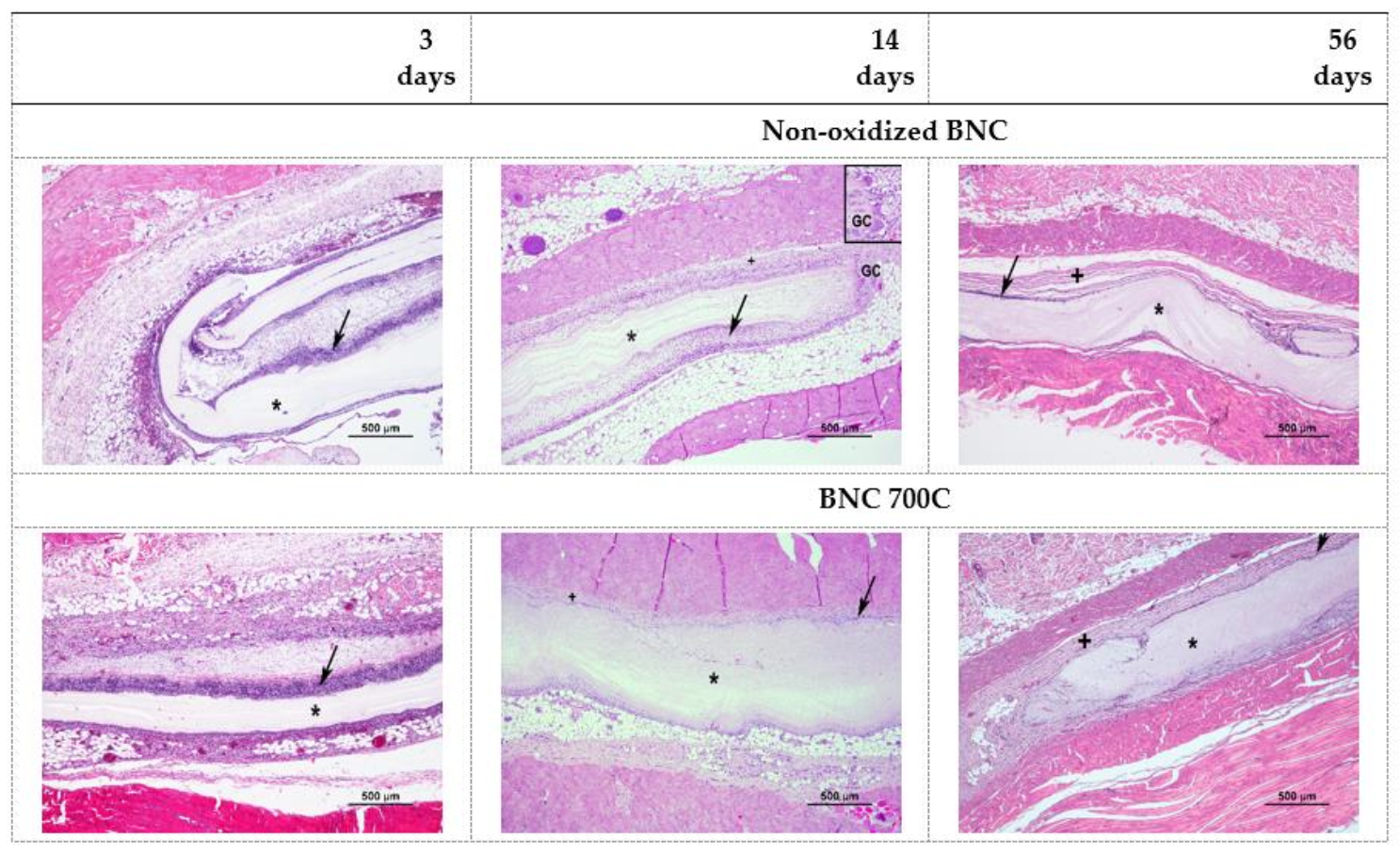 Polysaccharides 02 00006 g009
