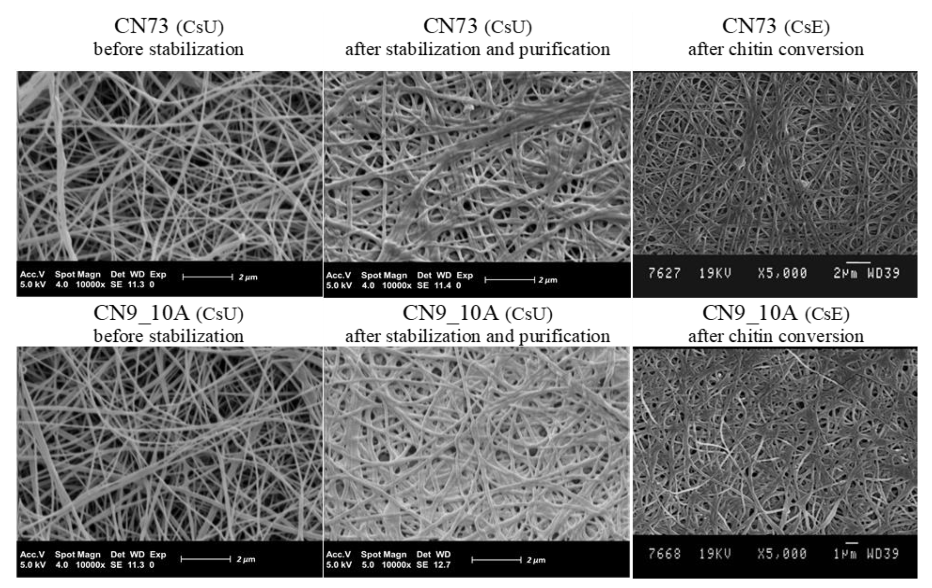 Polysaccharides 02 00019 g008 Polysaccharides 02 00019 g008