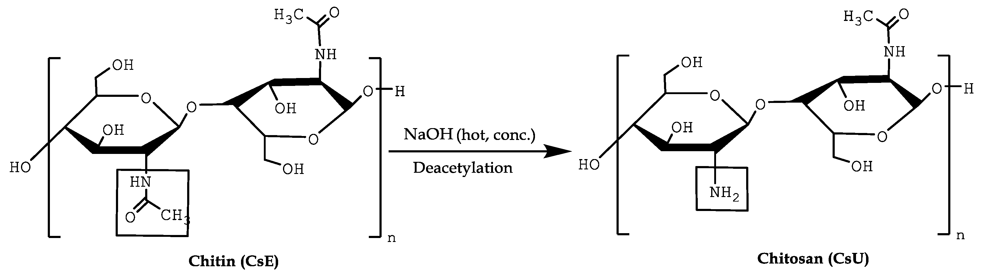 Polysaccharides 02 00019 sch001 Polysaccharides 02 00019 sch001
