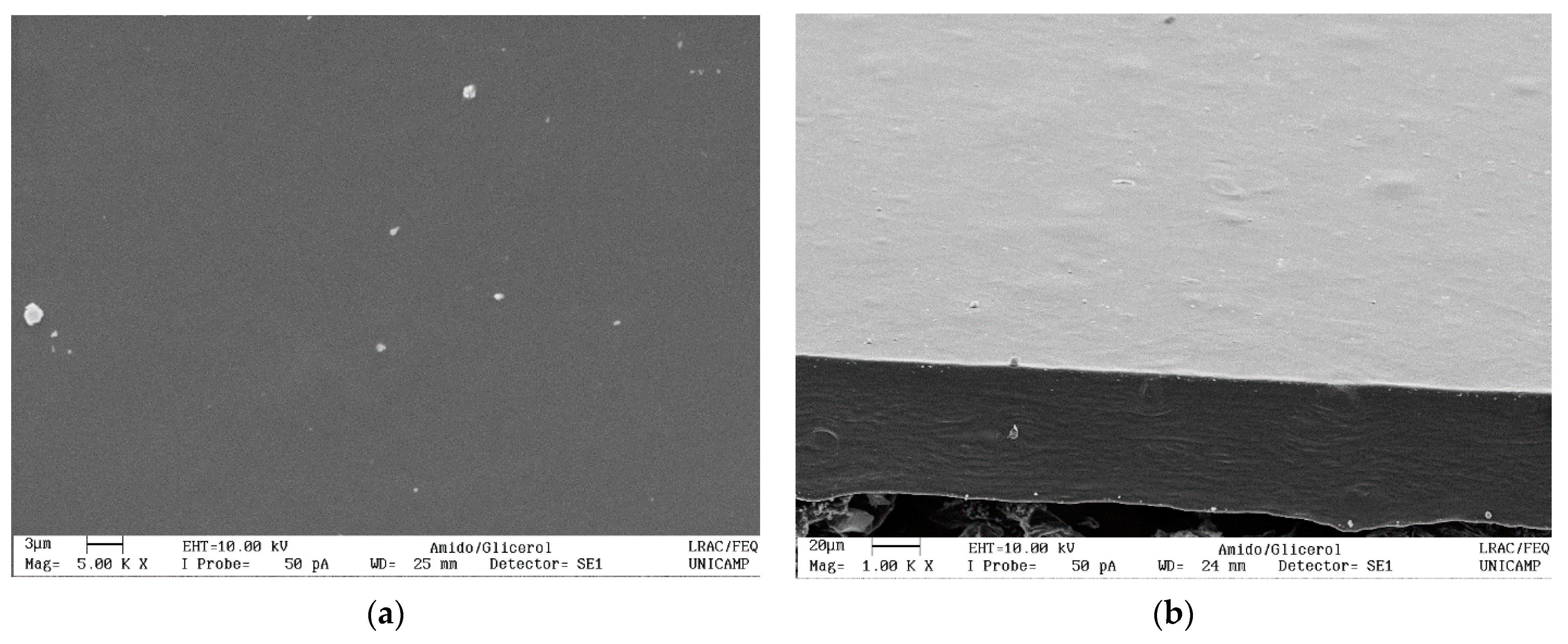 Polysaccharides 02 00024 g002