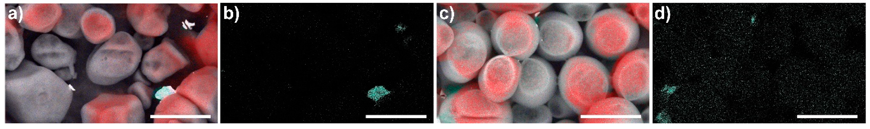 Polysaccharides 02 00027 g012