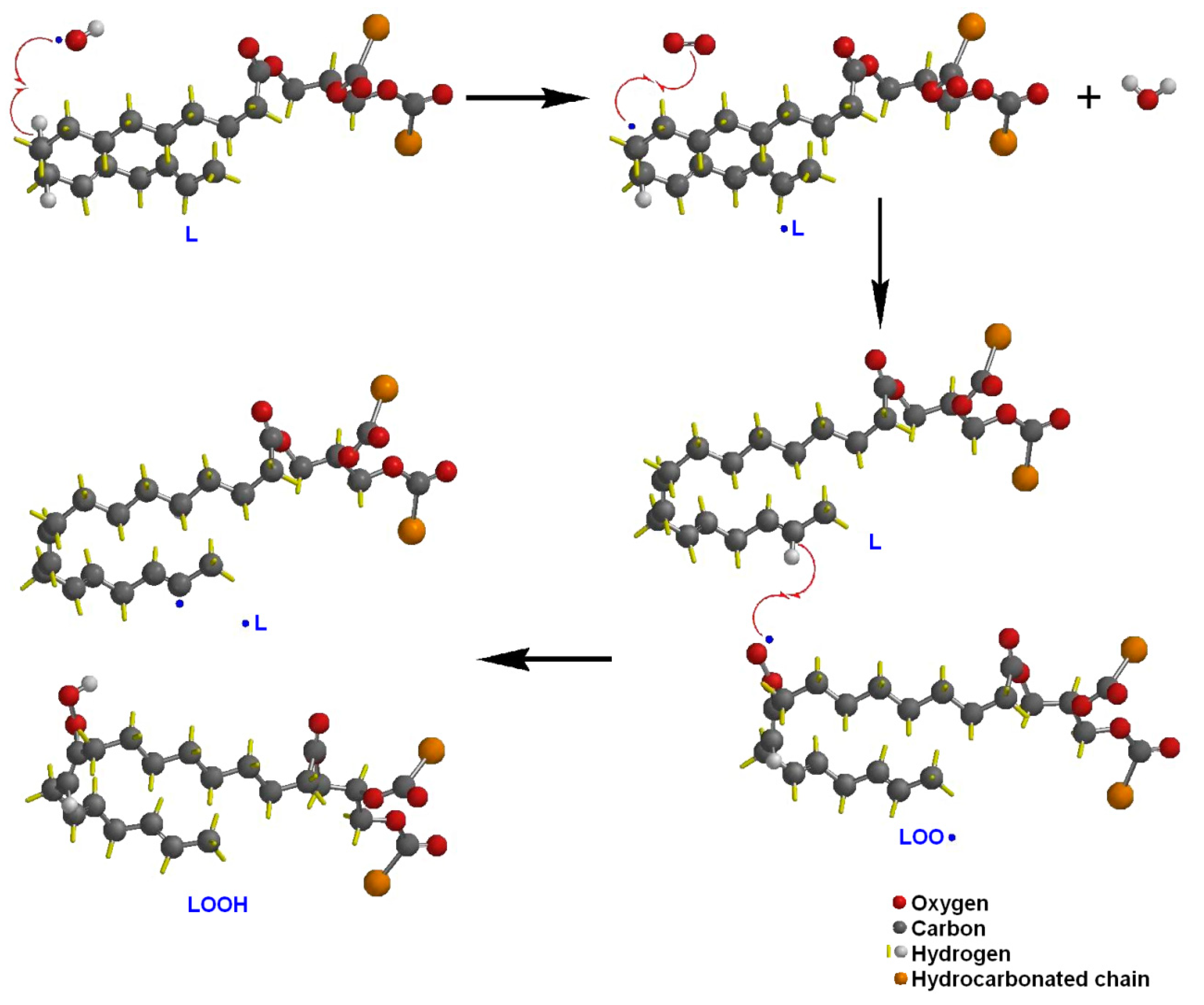Polysaccharides 02 00036 g001 Polysaccharides 02 00036 g001